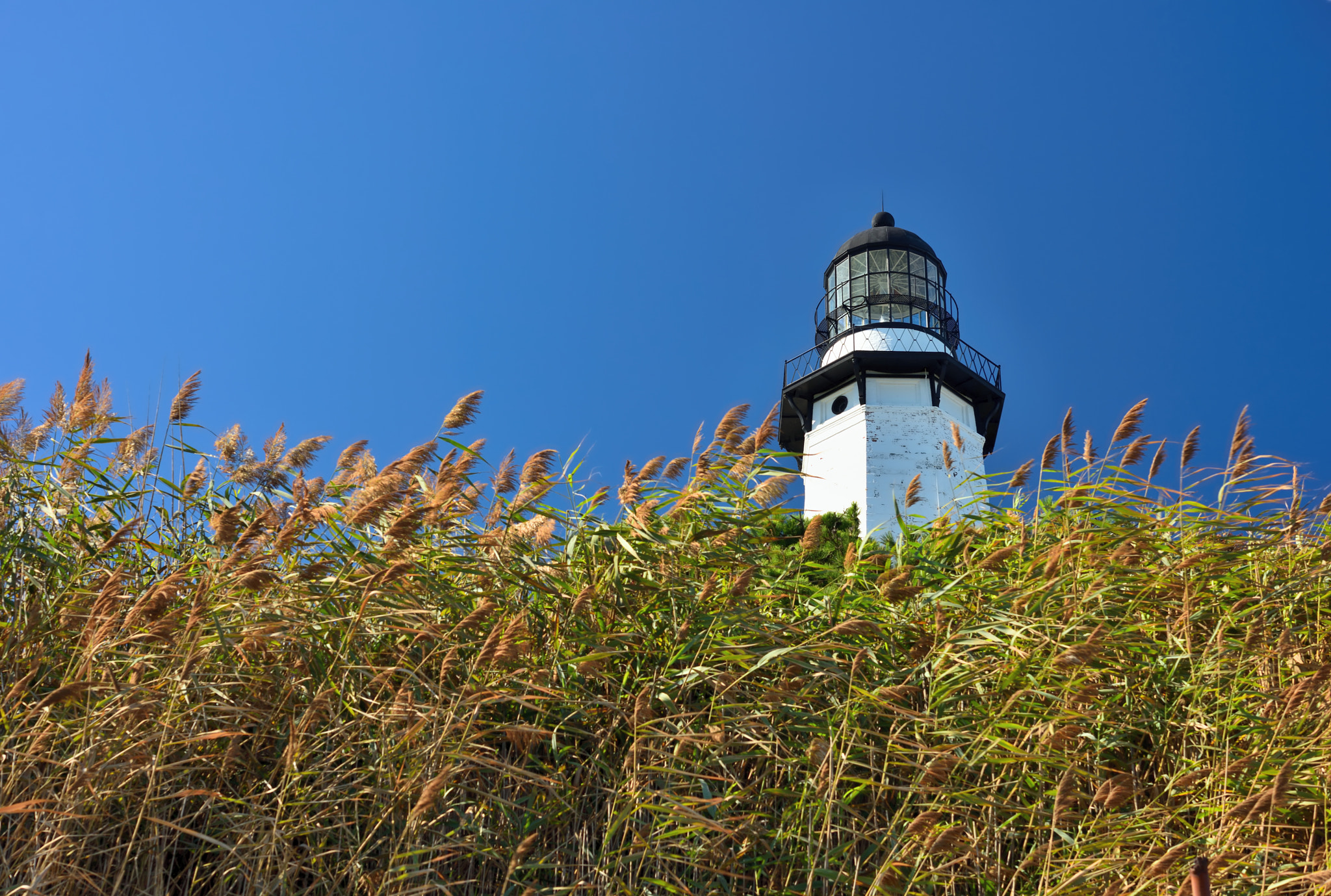 Nikon D810 sample photo. Montauk point lighthouse photography
