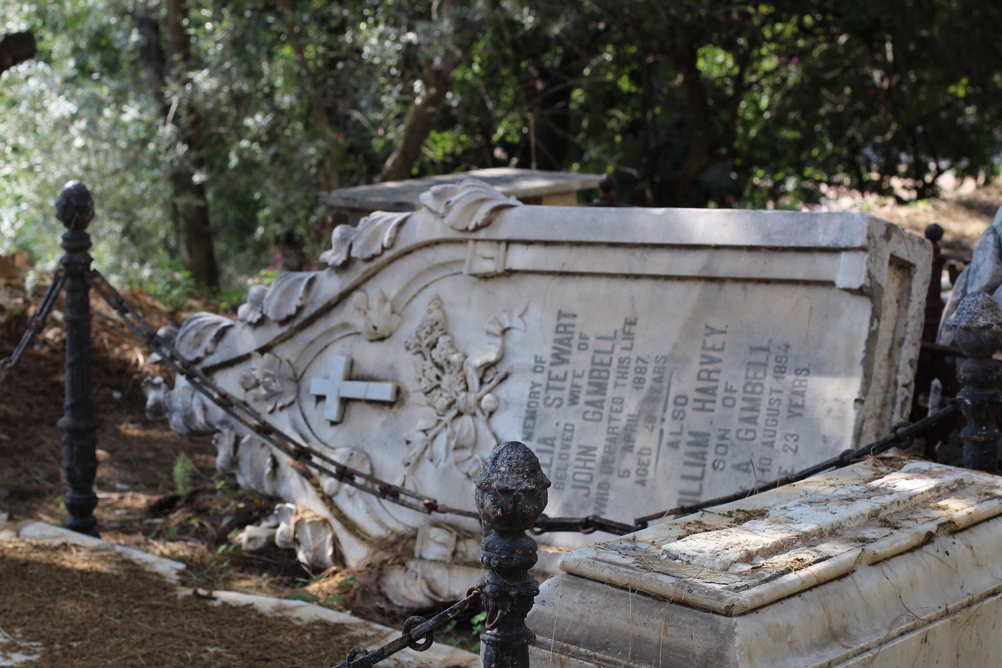Canon EOS 1200D (EOS Rebel T5 / EOS Kiss X70 / EOS Hi) + Canon EF 50mm F1.4 USM sample photo. Cementerio inglés de málaga photography