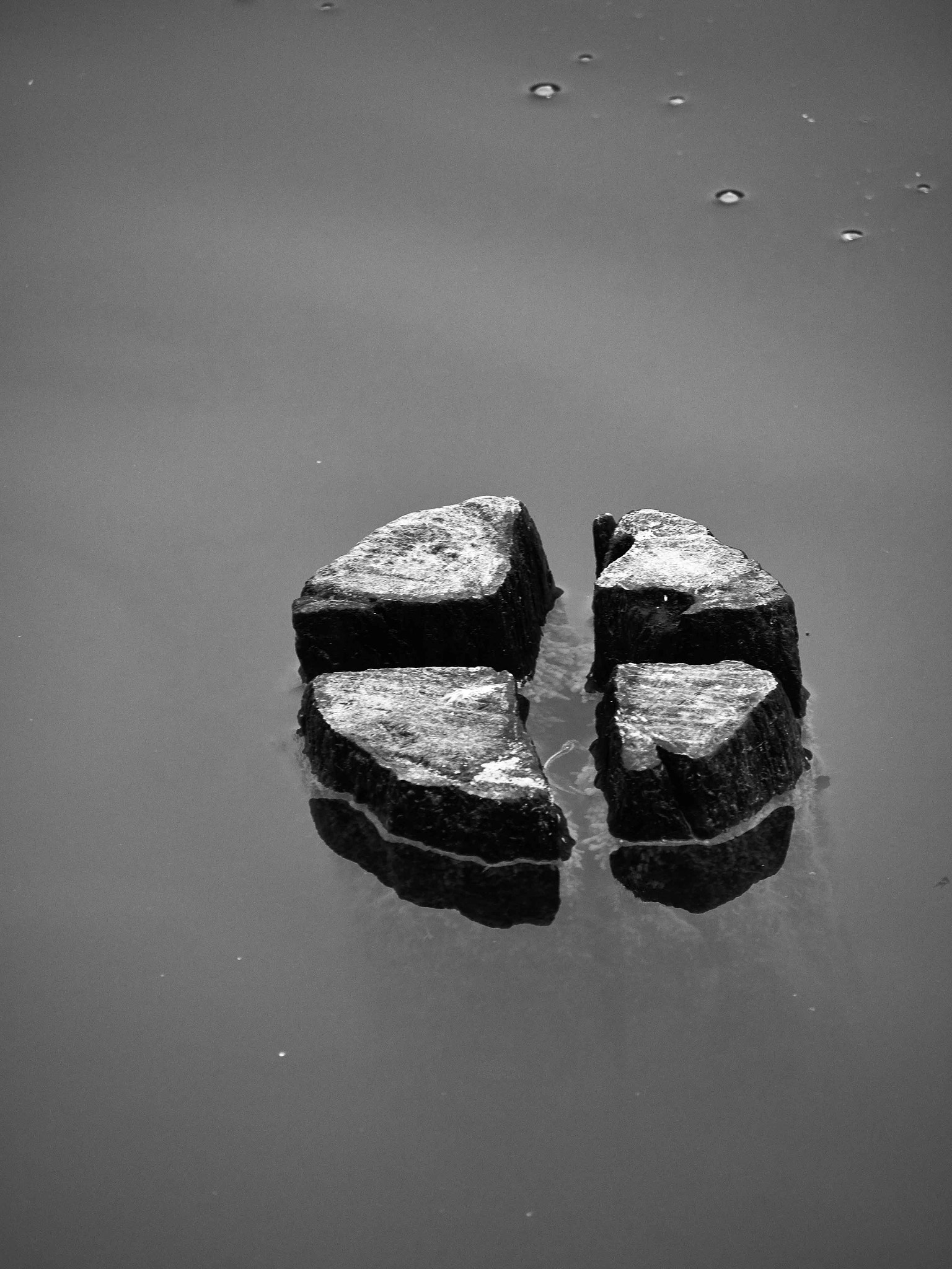 Olympus OM-D E-M10 sample photo. Minimal qartet photography