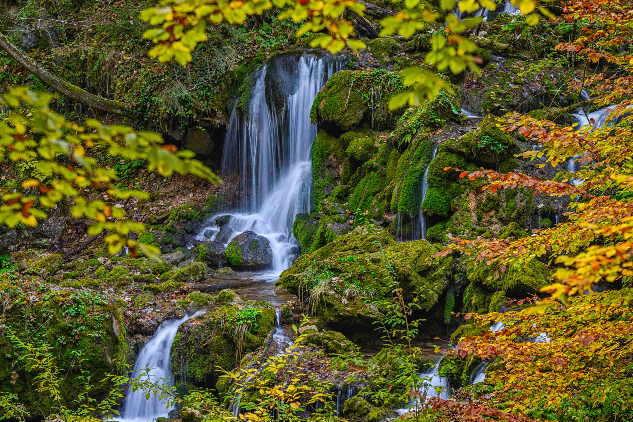 Sigma 70-200mm F2.8 EX DG OS HSM sample photo. Fall impression photography