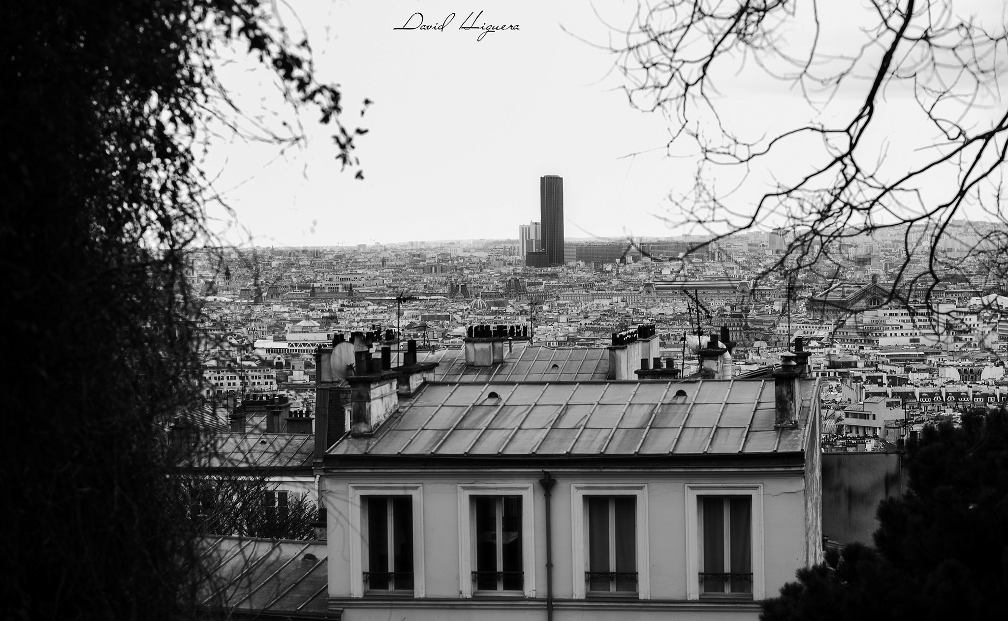 Canon EOS 5D + Canon EF 85mm F1.8 USM sample photo. From montmartre photography