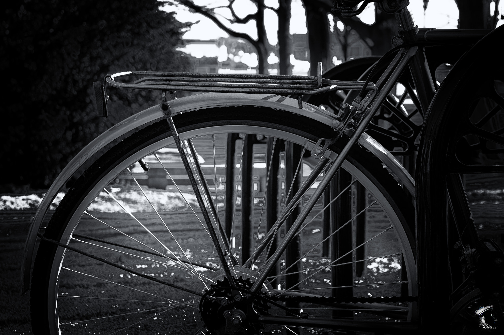 Sony E 55-210mm F4.5-6.3 OSS sample photo. Take a ride photography