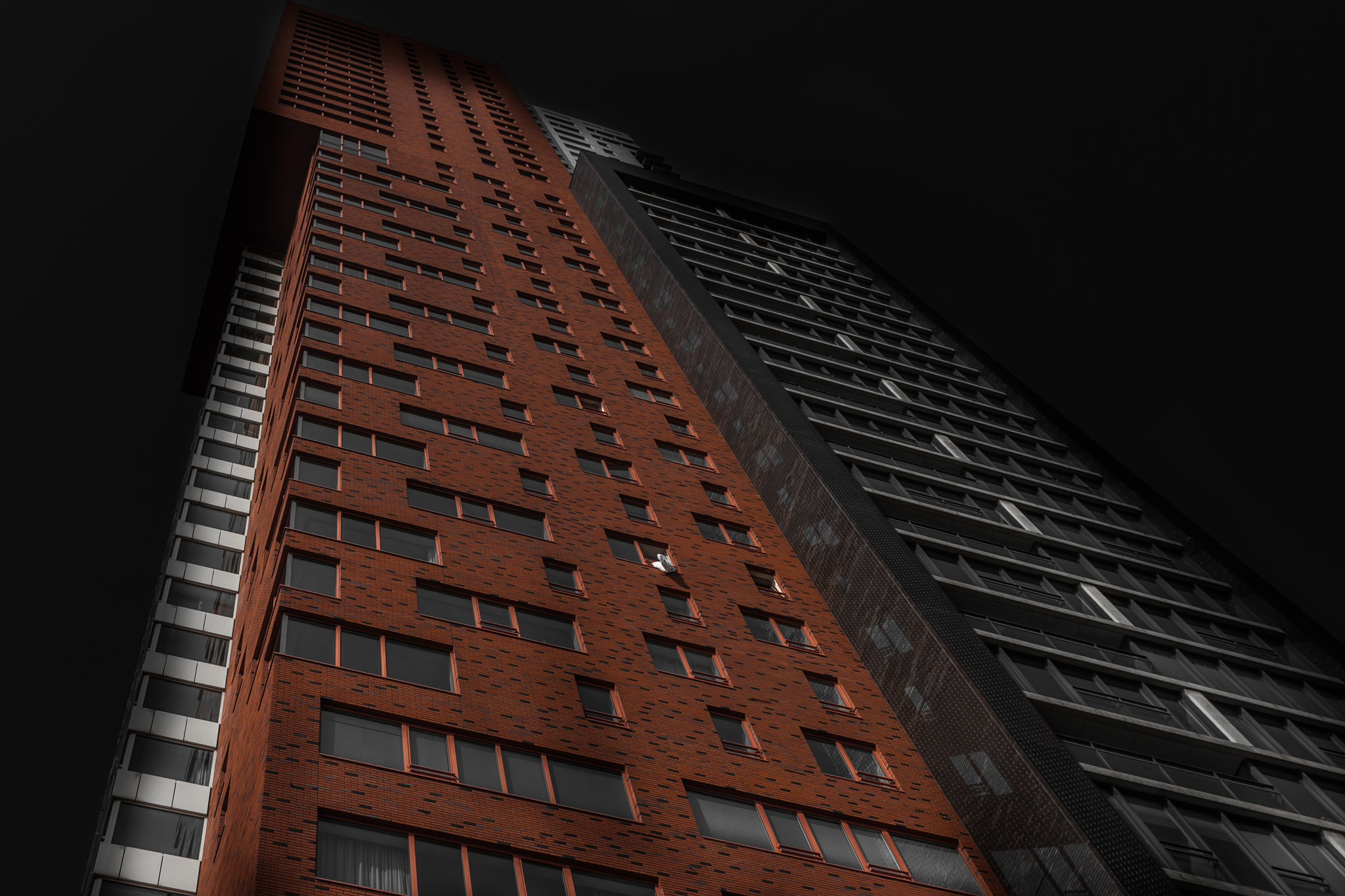 Canon EOS 7D + Canon EF 20mm F2.8 USM sample photo. Uprising photography