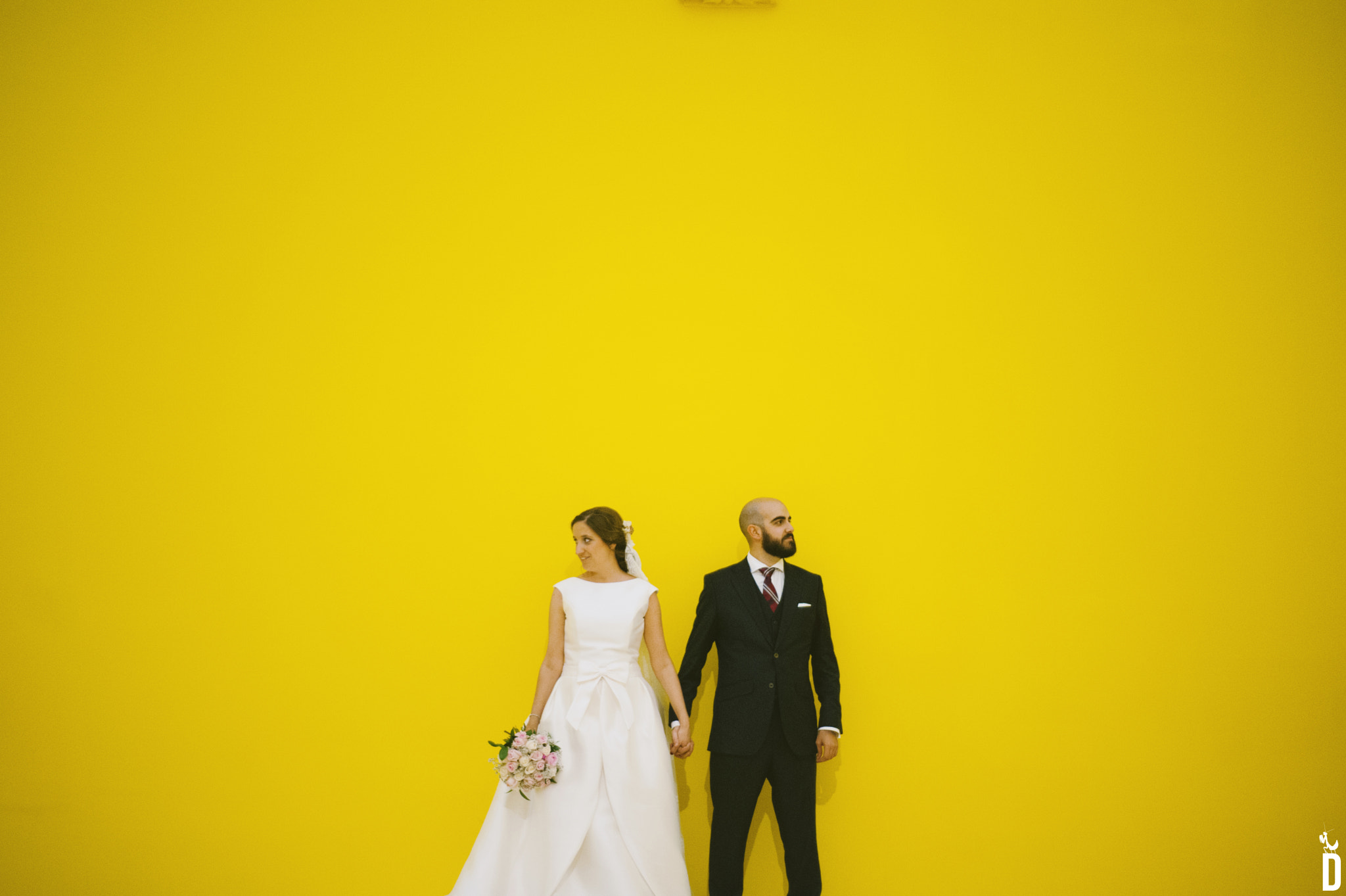 Nikon D700 + Nikon AF Nikkor 50mm F1.8D sample photo. Hello yellow !!! photography