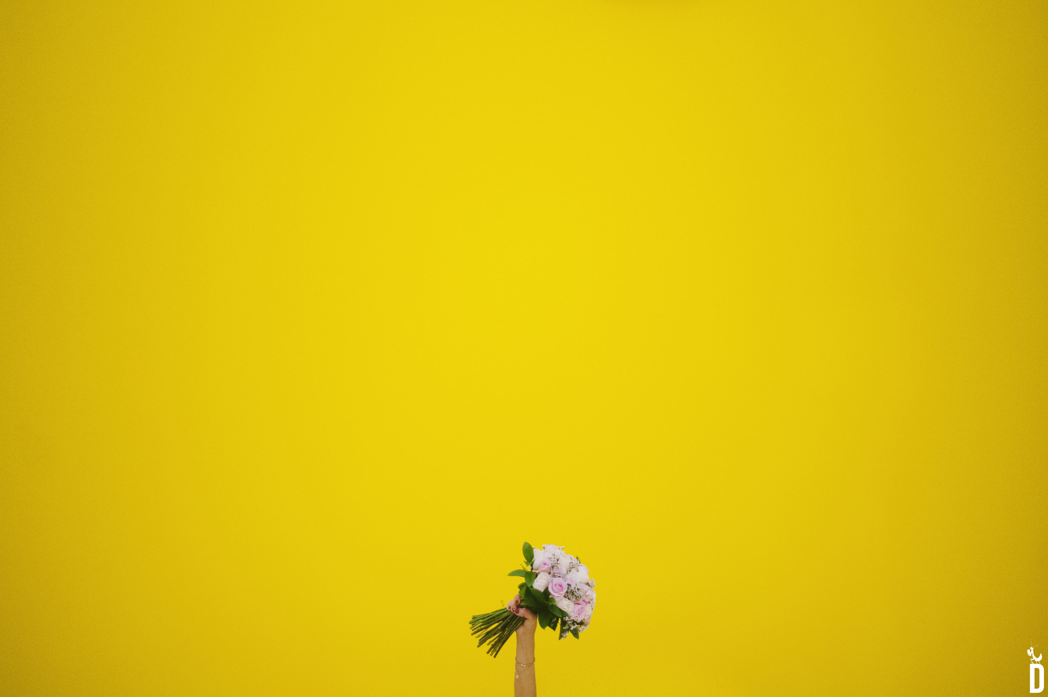 Nikon D700 + Nikon AF Nikkor 50mm F1.8D sample photo. Hello yellow !!! photography