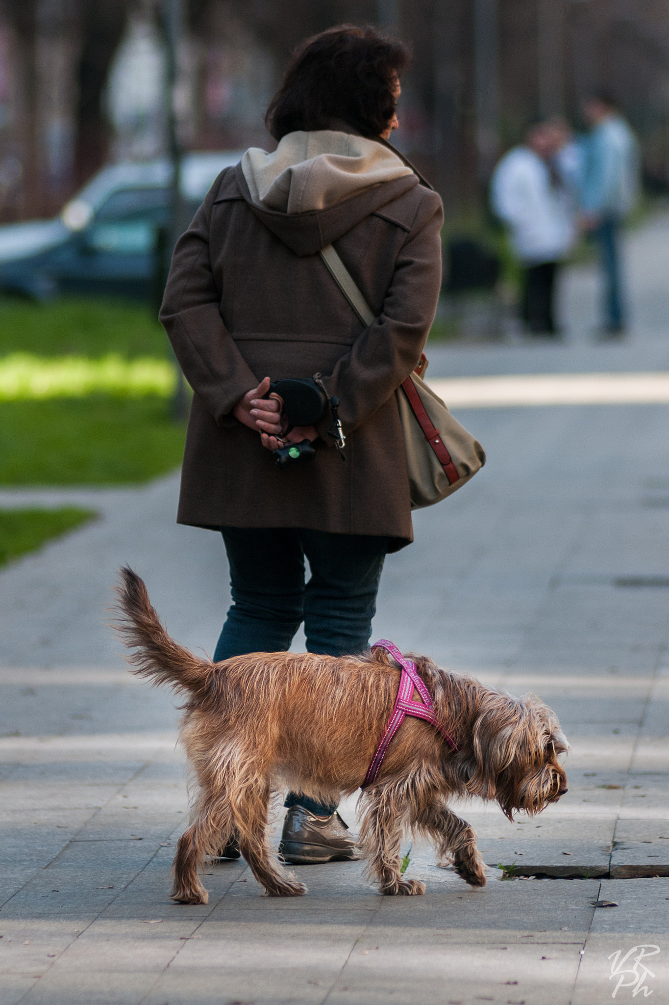 Nikon AF Nikkor 180mm F2.8D ED-IF sample photo. A little walk photography