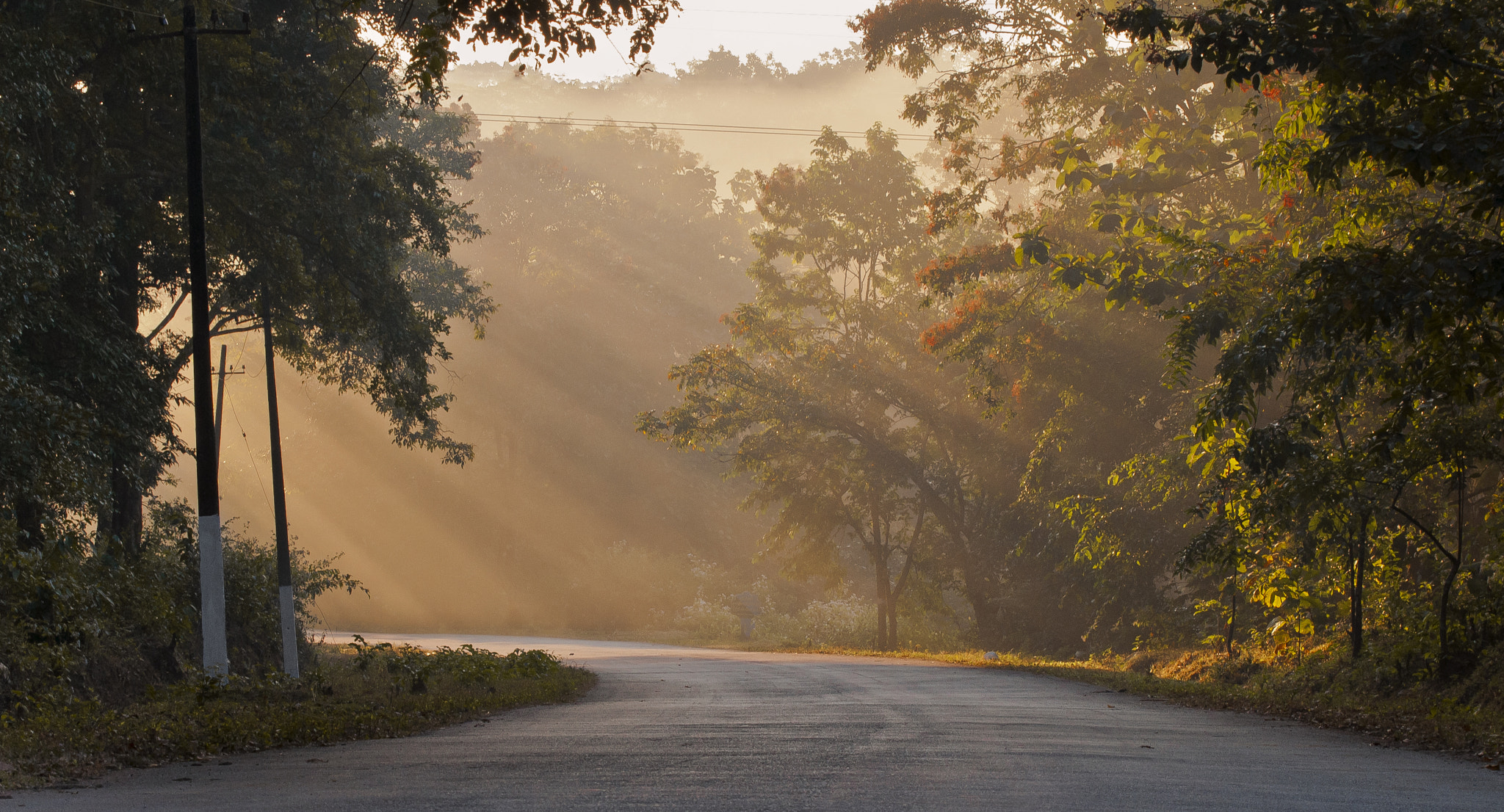 Nikon D300 sample photo. Dandeli morning photography