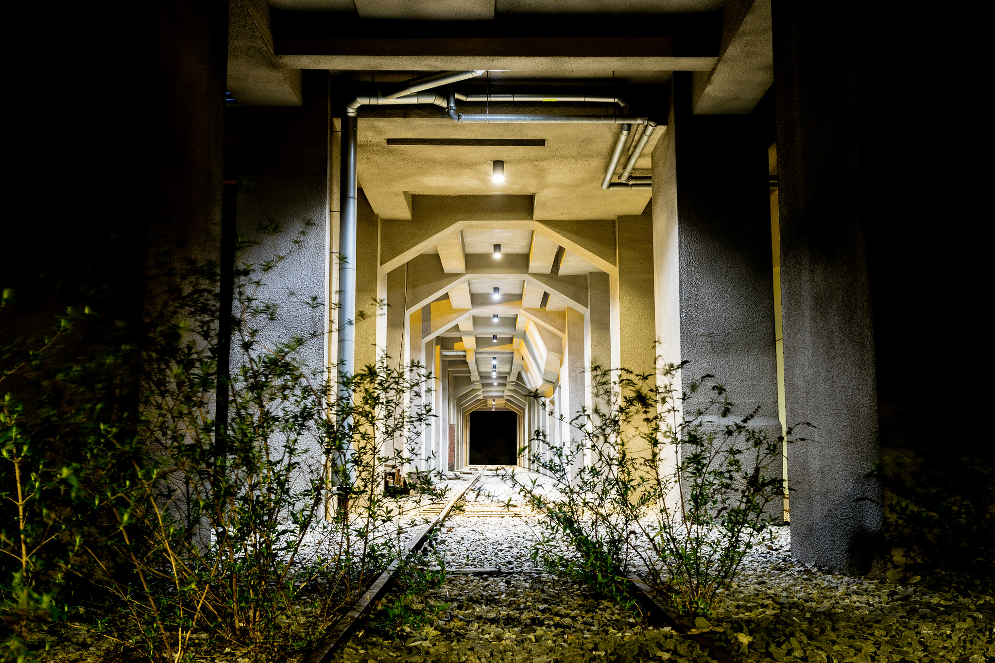 Nikon AF-S Nikkor 14-24mm F2.8G ED sample photo. The coal way photography