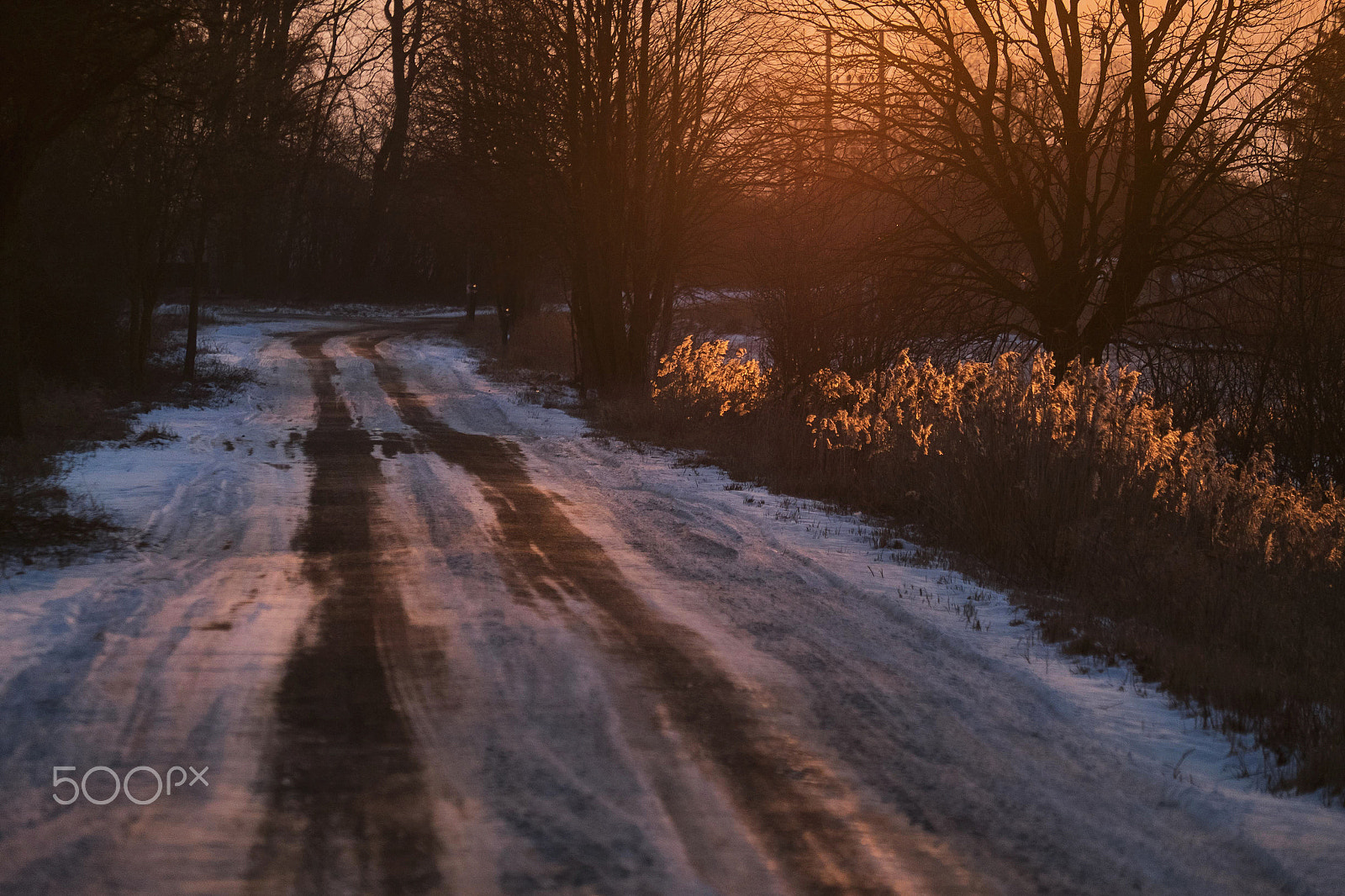 Fujifilm X-E2 + Fujifilm XF 55-200mm F3.5-4.8 R LM OIS sample photo. Winter photography