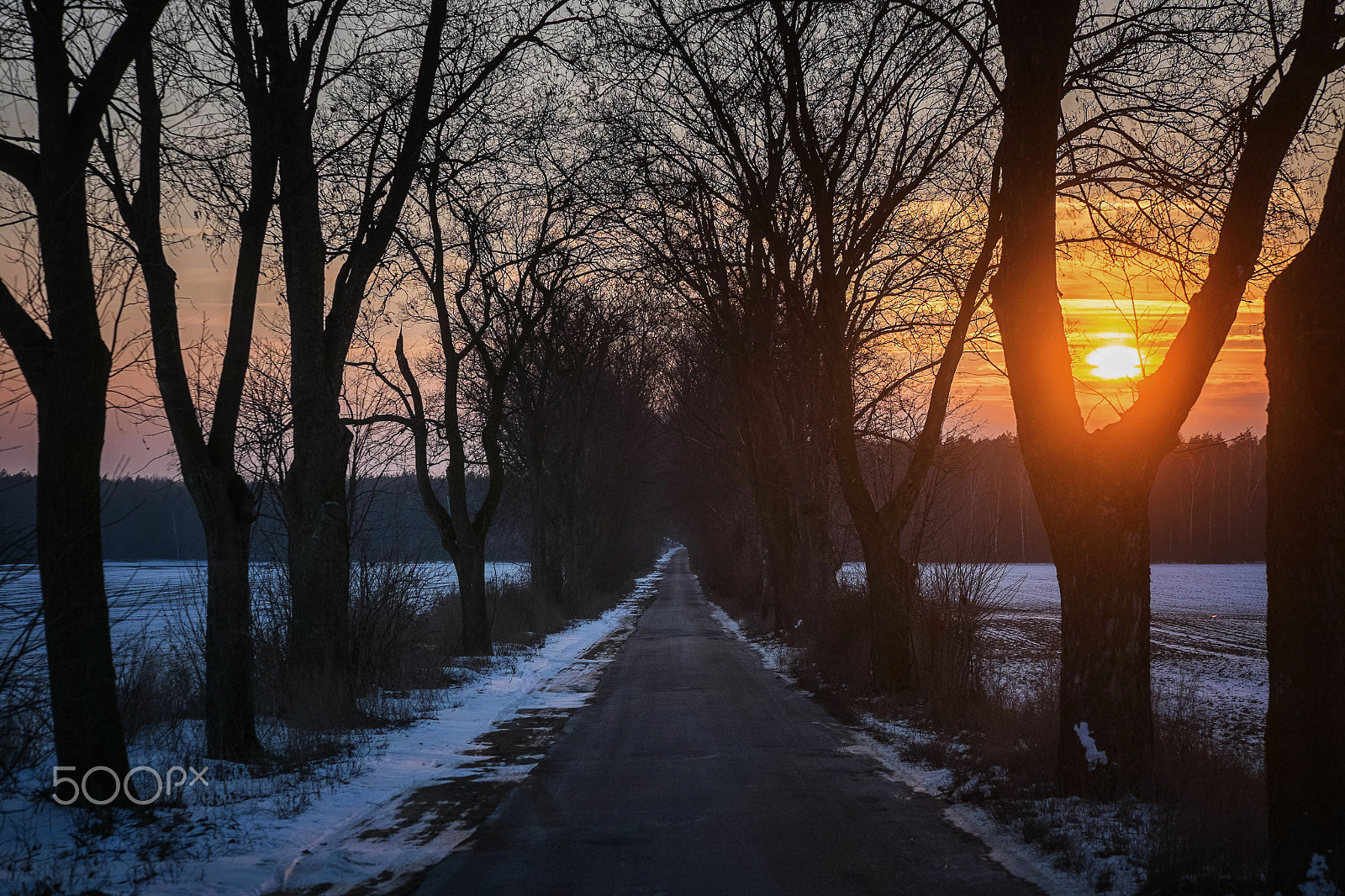 Fujifilm X-E2 + Fujifilm XF 55-200mm F3.5-4.8 R LM OIS sample photo. Winter photography