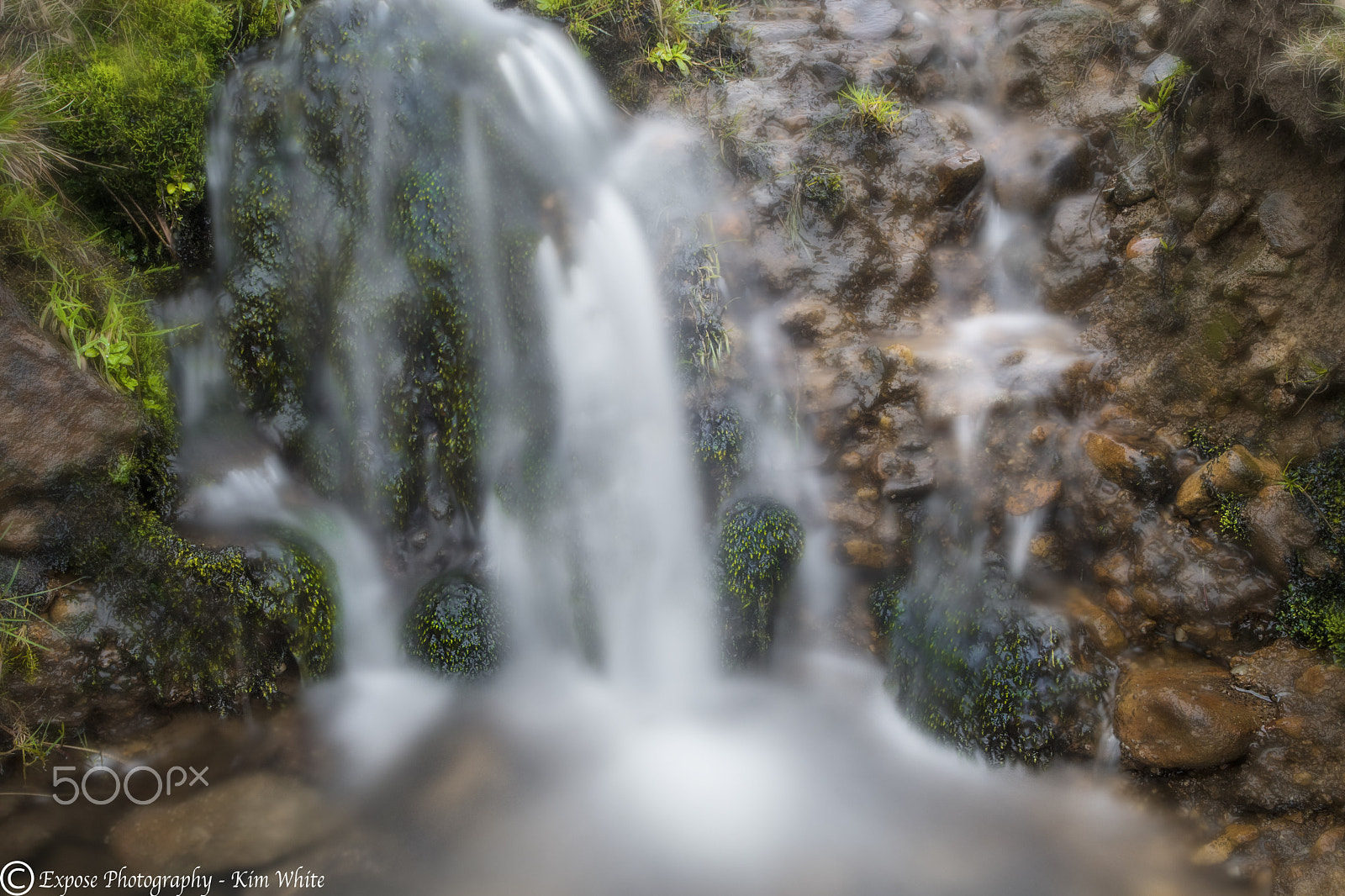 Nikon D500 sample photo. Mini fall photography