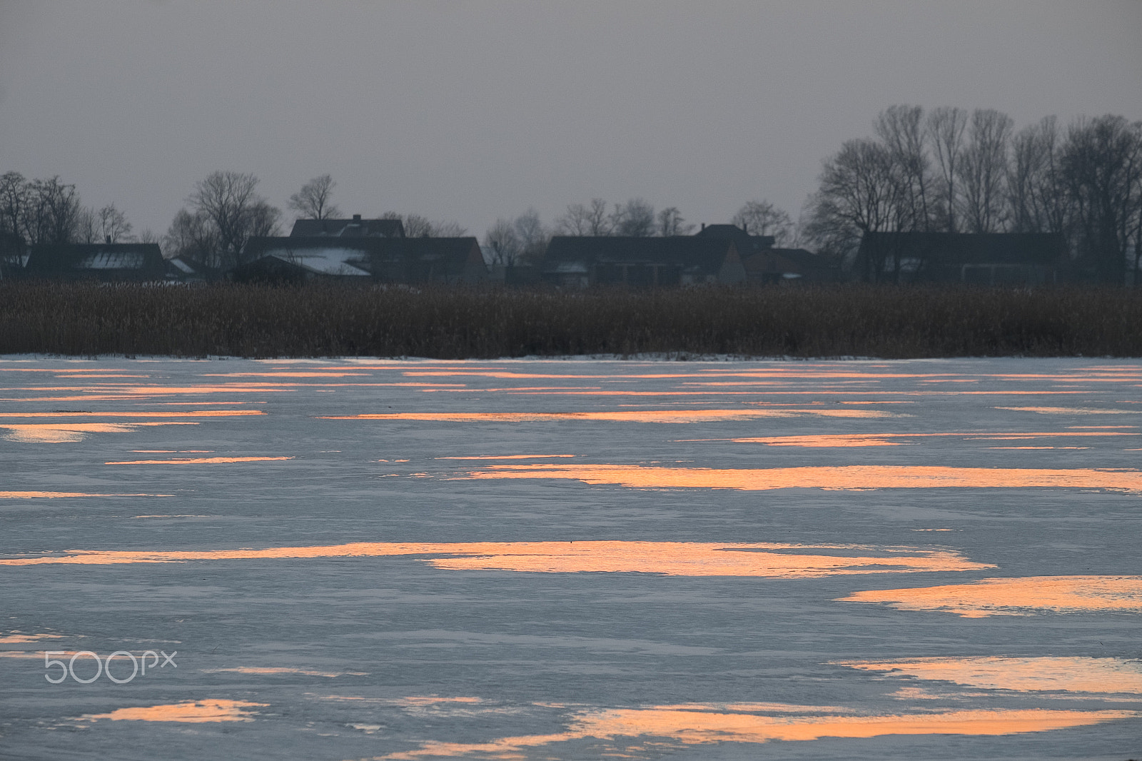 Fujifilm X-E2 + Fujifilm XF 55-200mm F3.5-4.8 R LM OIS sample photo. Winter photography