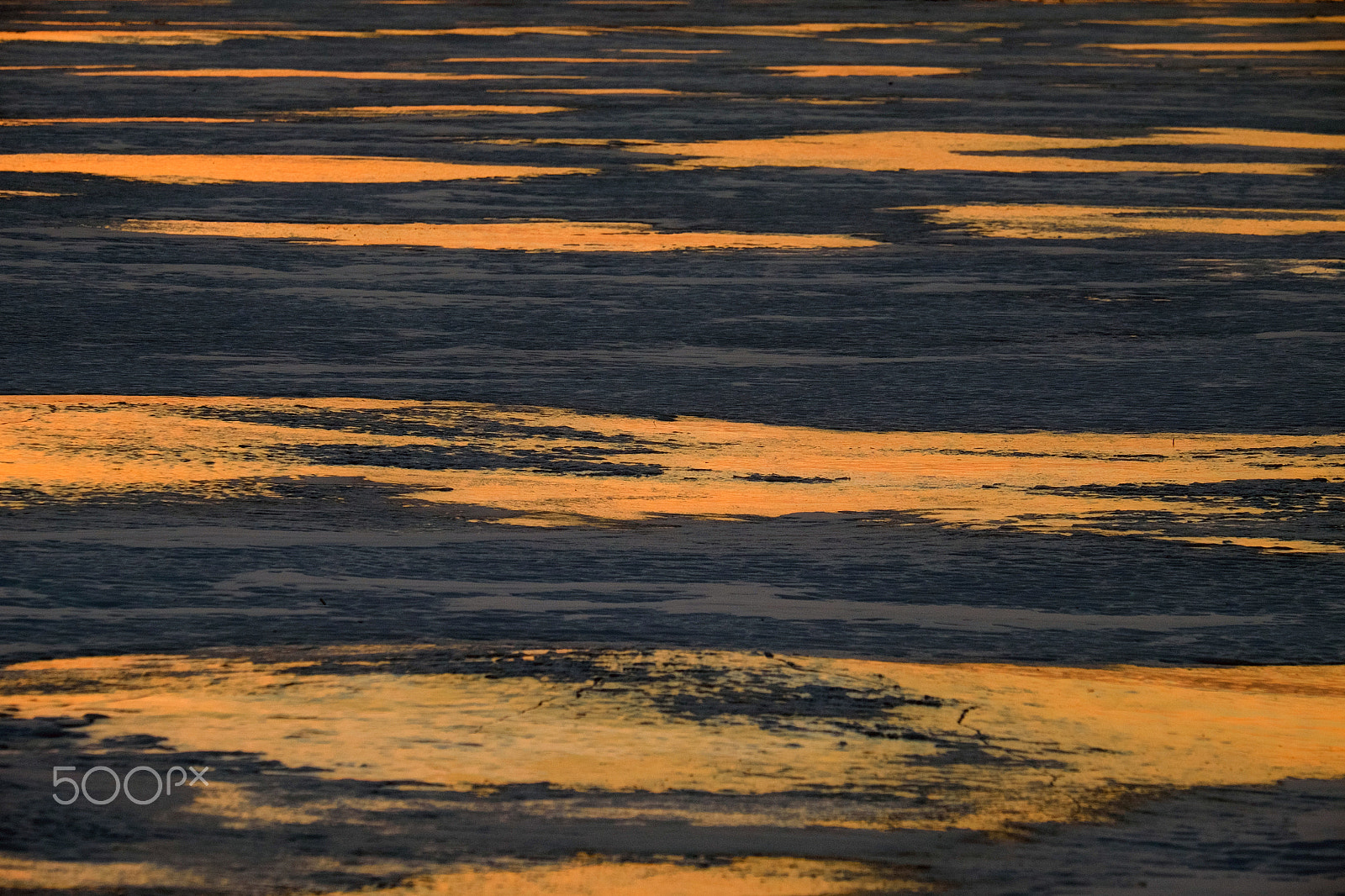 Fujifilm X-E2 + Fujifilm XF 55-200mm F3.5-4.8 R LM OIS sample photo. Winter photography