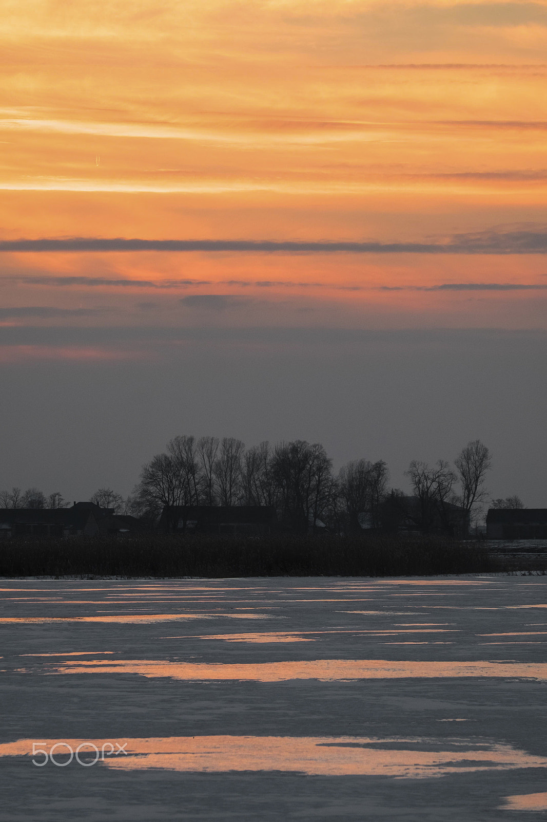 Fujifilm XF 55-200mm F3.5-4.8 R LM OIS sample photo. Winter photography