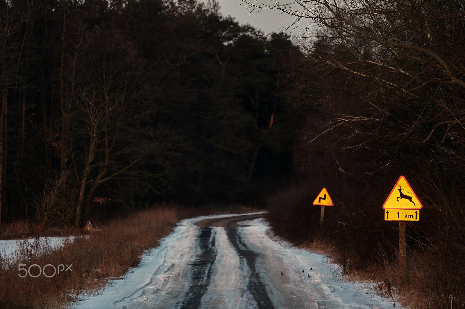 Fujifilm X-E2 + Fujifilm XF 55-200mm F3.5-4.8 R LM OIS sample photo. Winter photography
