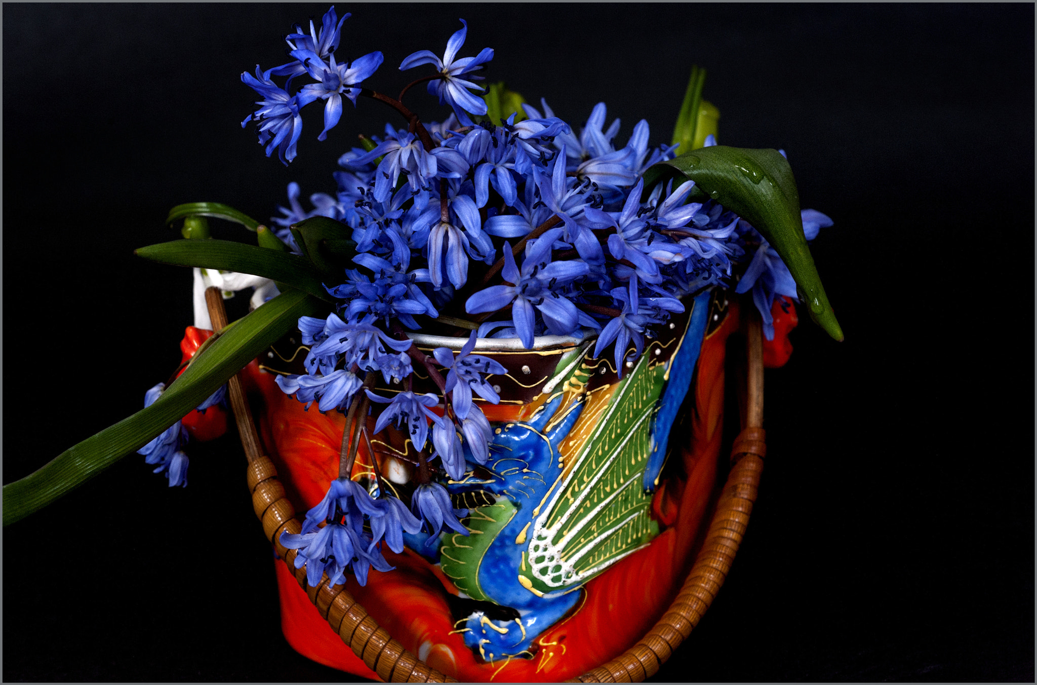 Nikon D700 + AF Micro-Nikkor 60mm f/2.8 sample photo. *** photography