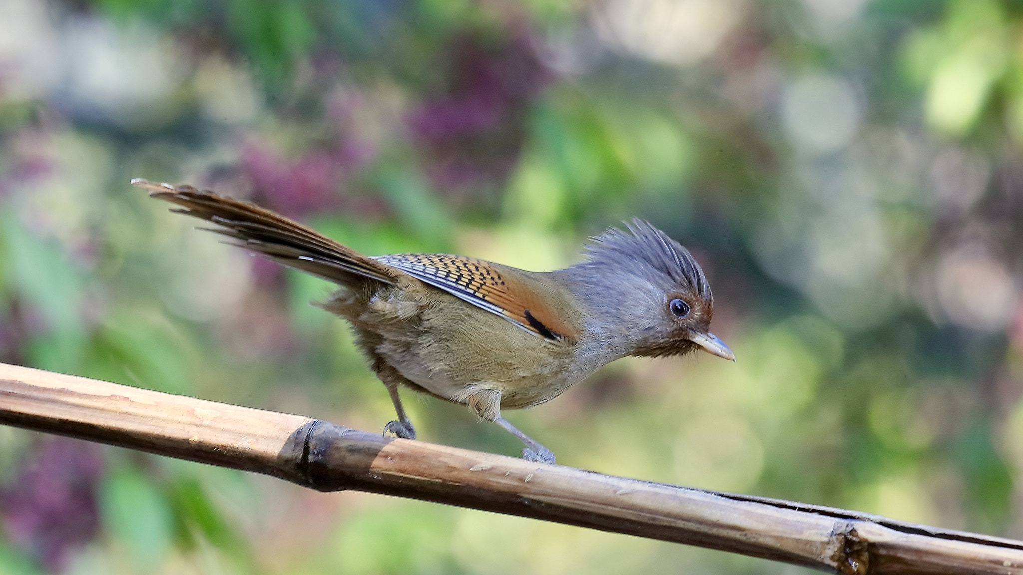 Canon EOS 5DS sample photo