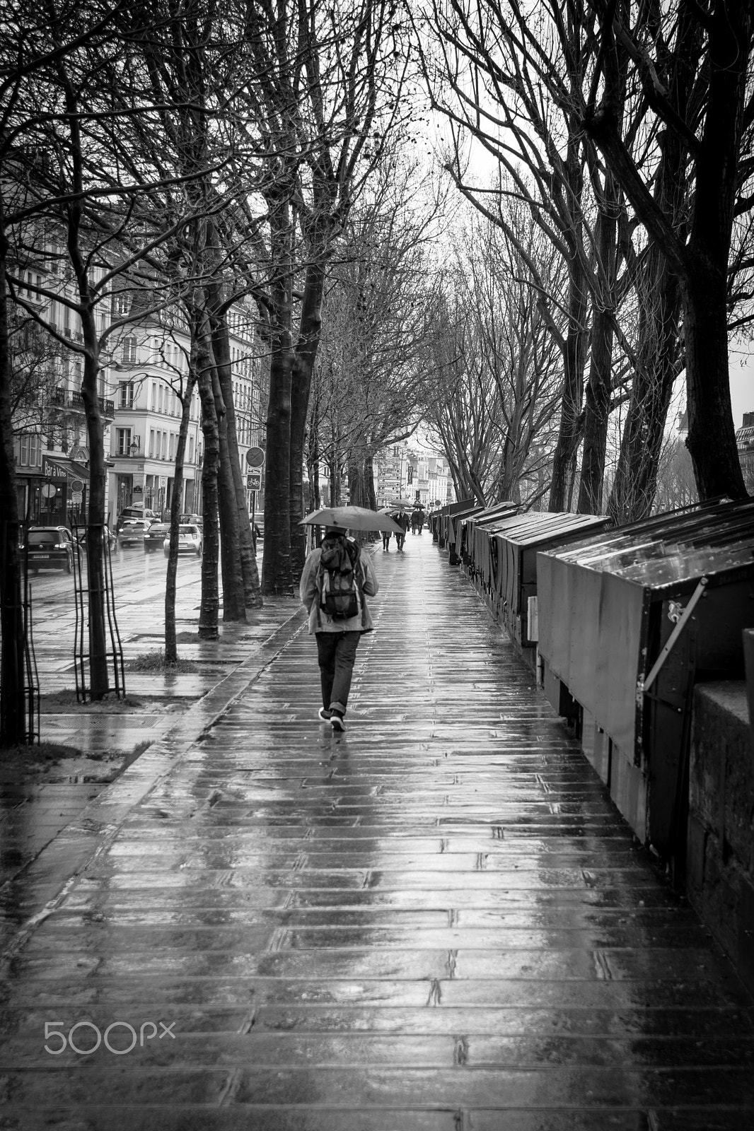 Sigma 17-50mm F2.8 EX DC OS HSM sample photo. Paris under rain 4 photography