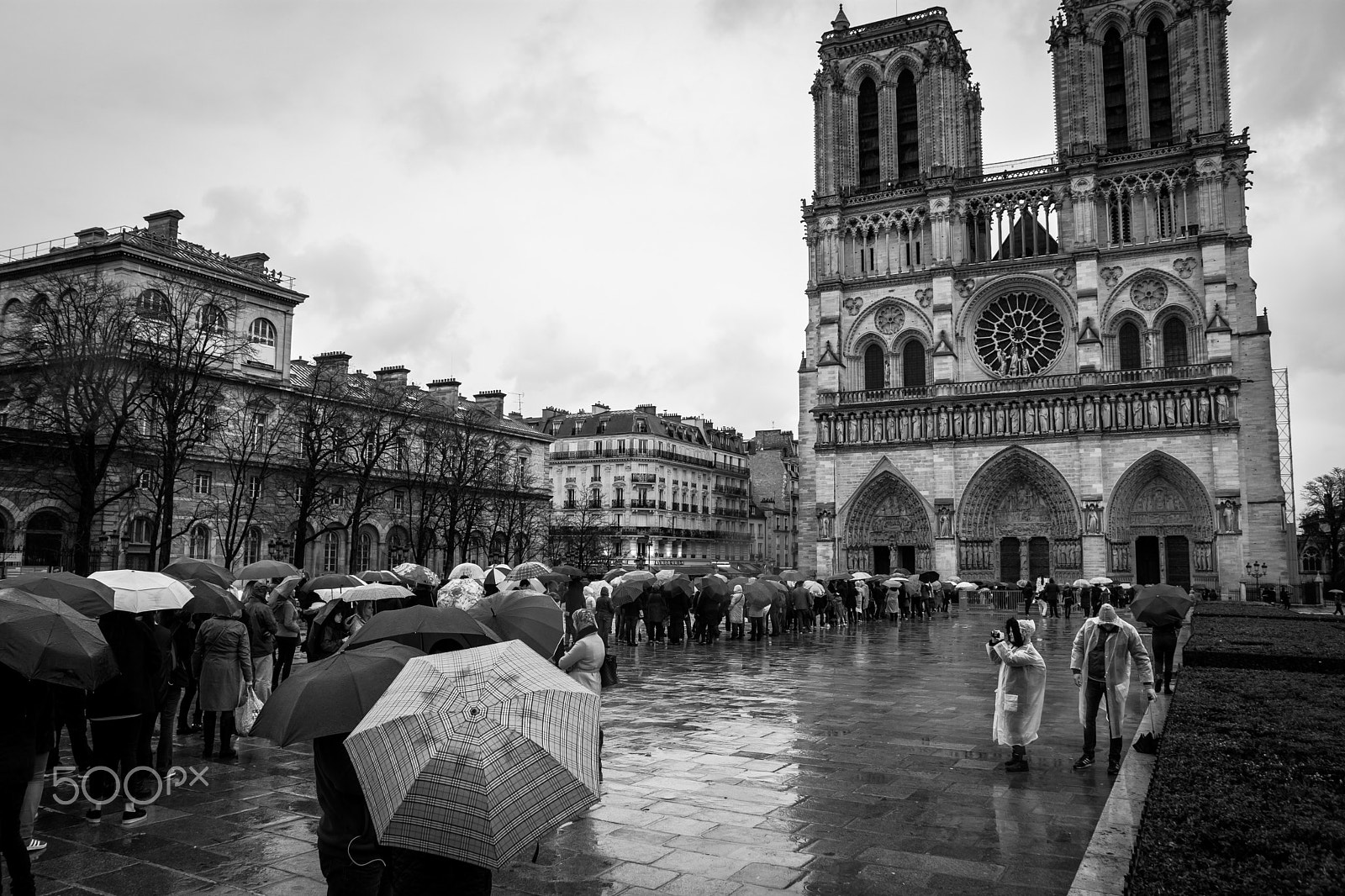 Sigma 17-50mm F2.8 EX DC OS HSM sample photo. Notre dame 2 photography