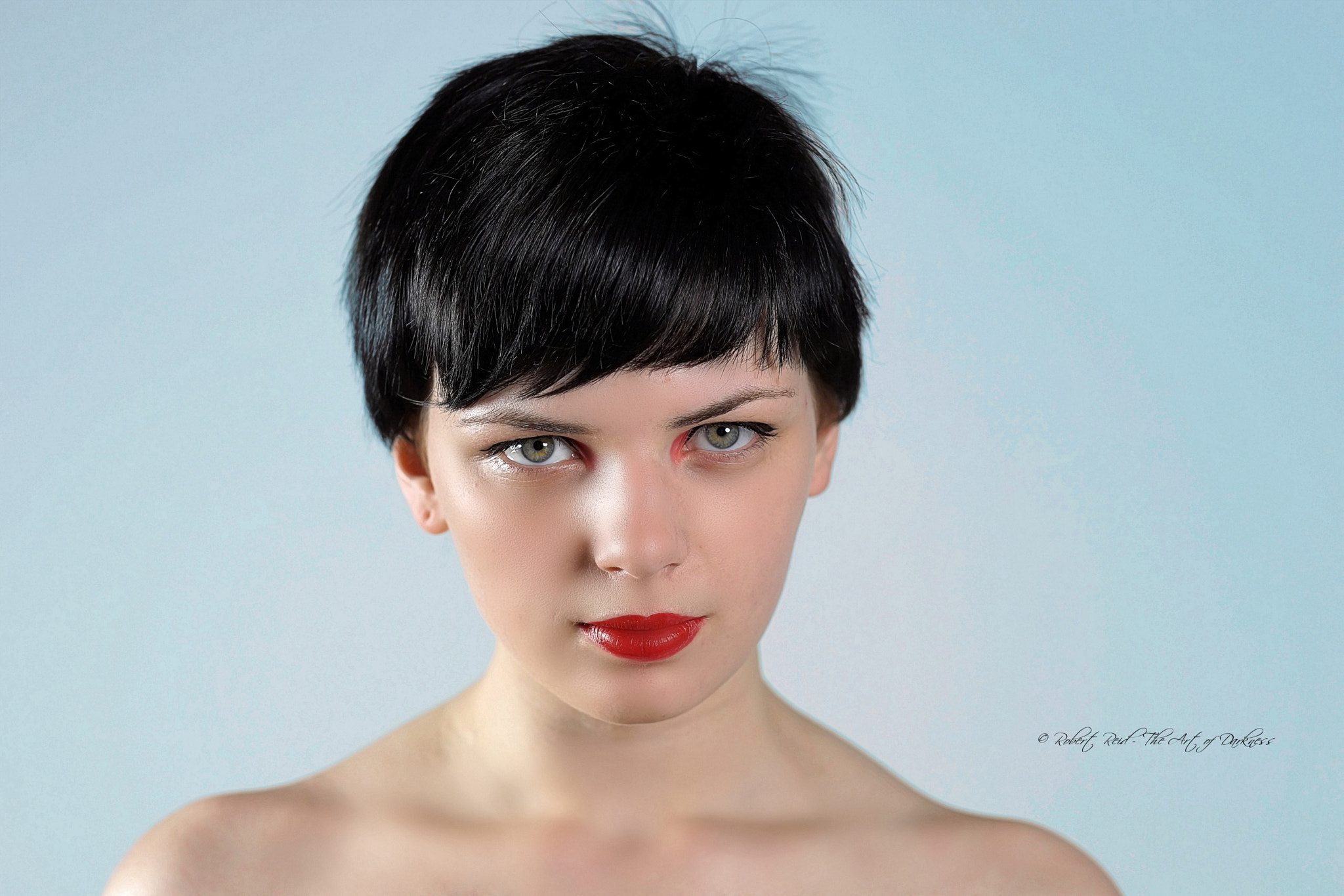 Sony Planar T* 85mm F1.4 ZA sample photo. "elemental" photography