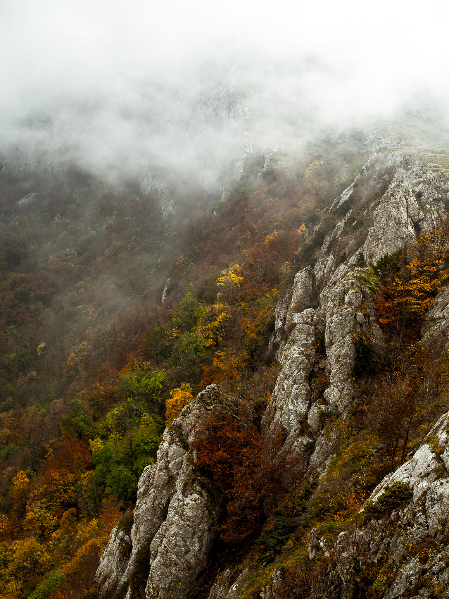Olympus OM-D E-M10 + Olympus M.Zuiko Digital 25mm F1.8 sample photo. Autumn, crimea photography