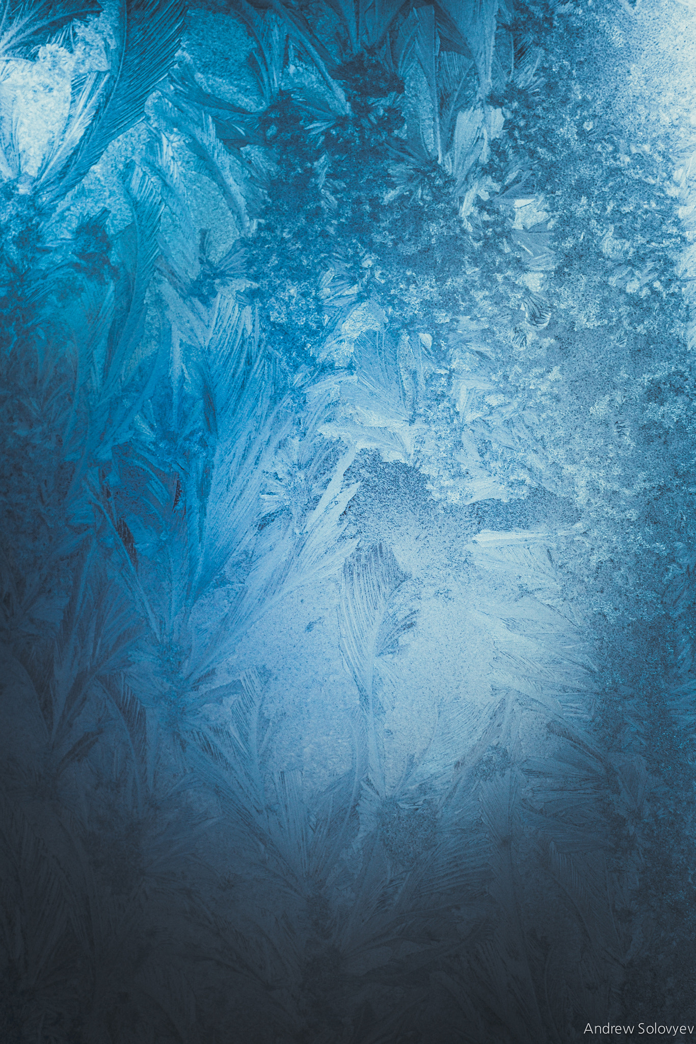 Fujifilm X-E1 + Fujifilm XF 35mm F1.4 R sample photo. Winter patterns on glass photography