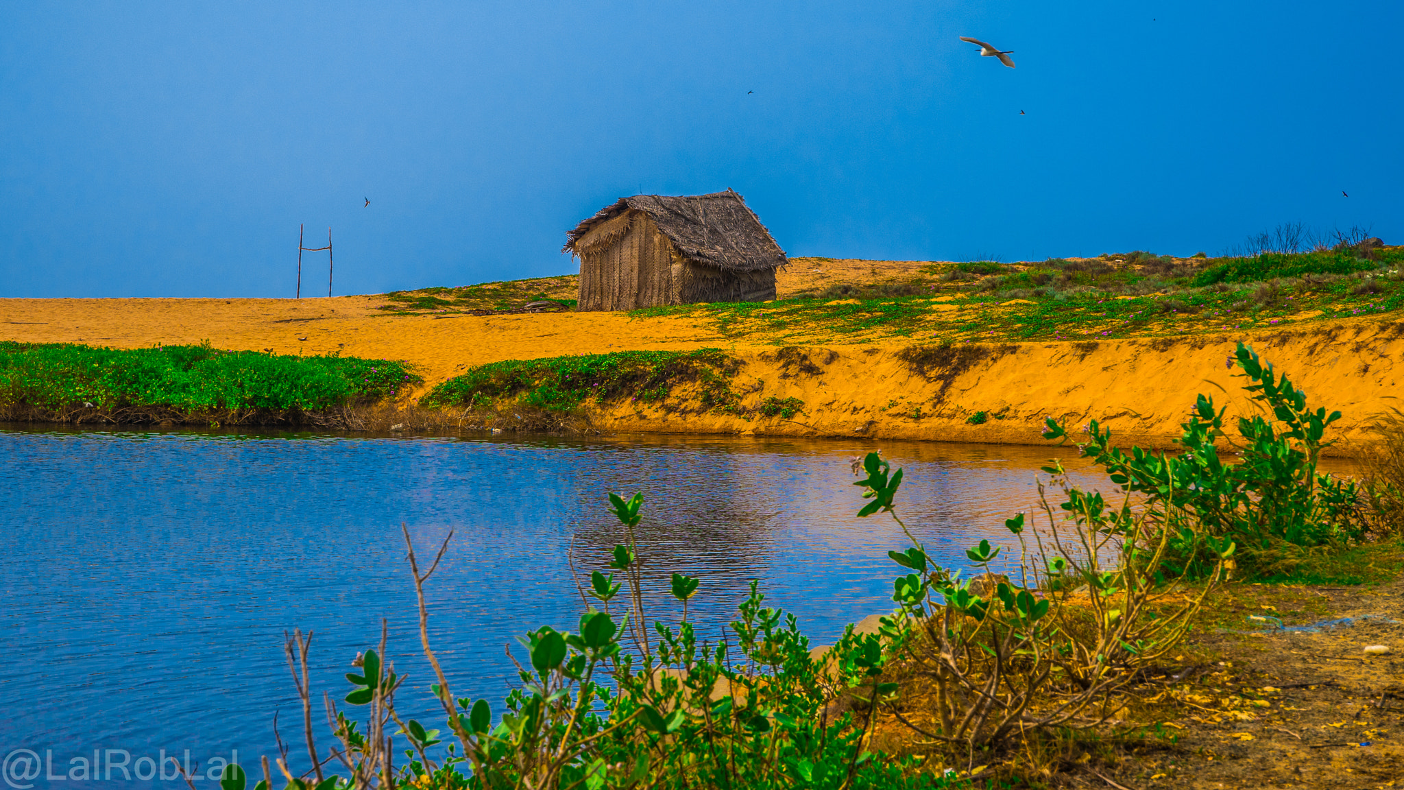 Nikon D5500 sample photo. Shades of blue photography