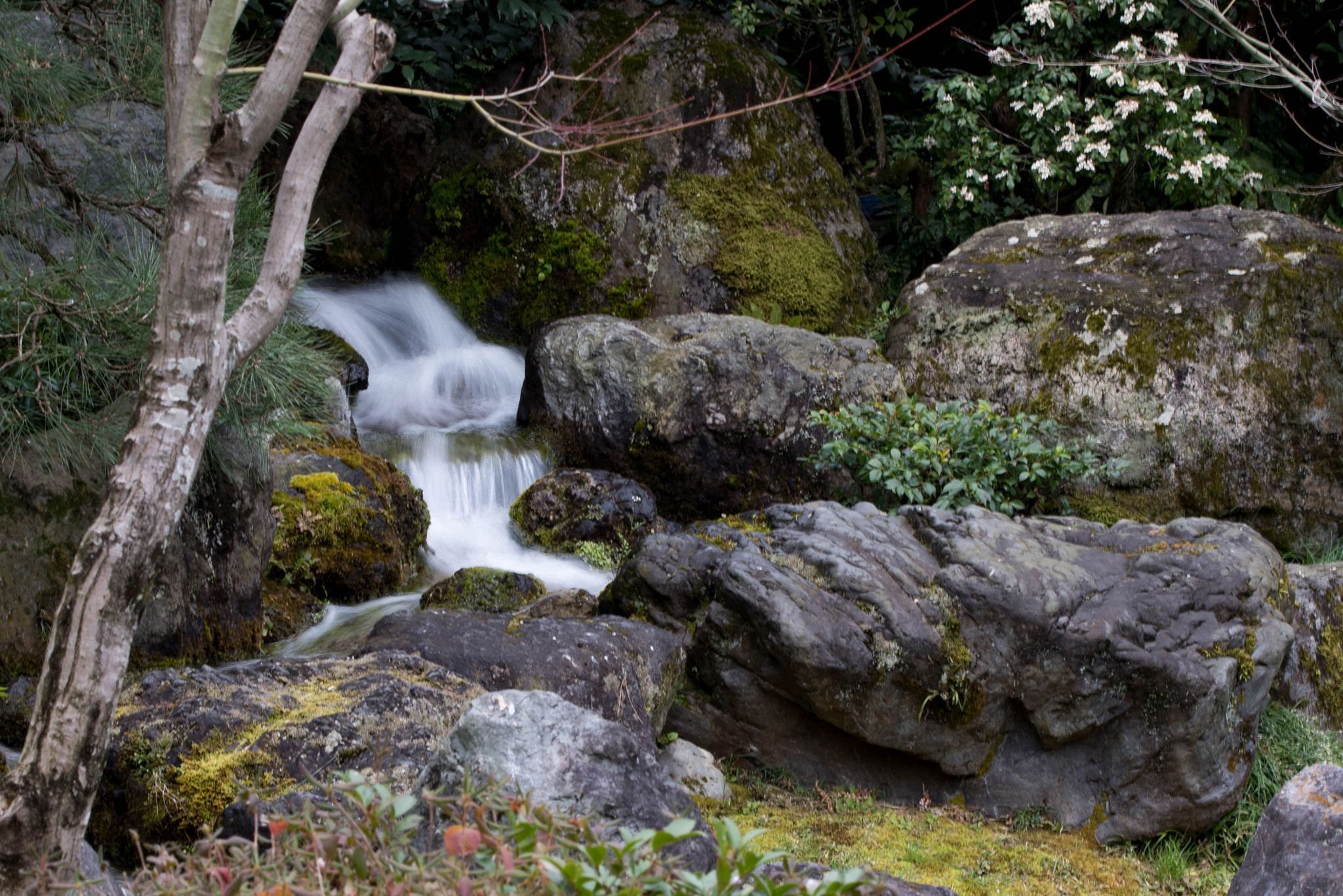 Nikon D810 sample photo. Water photography
