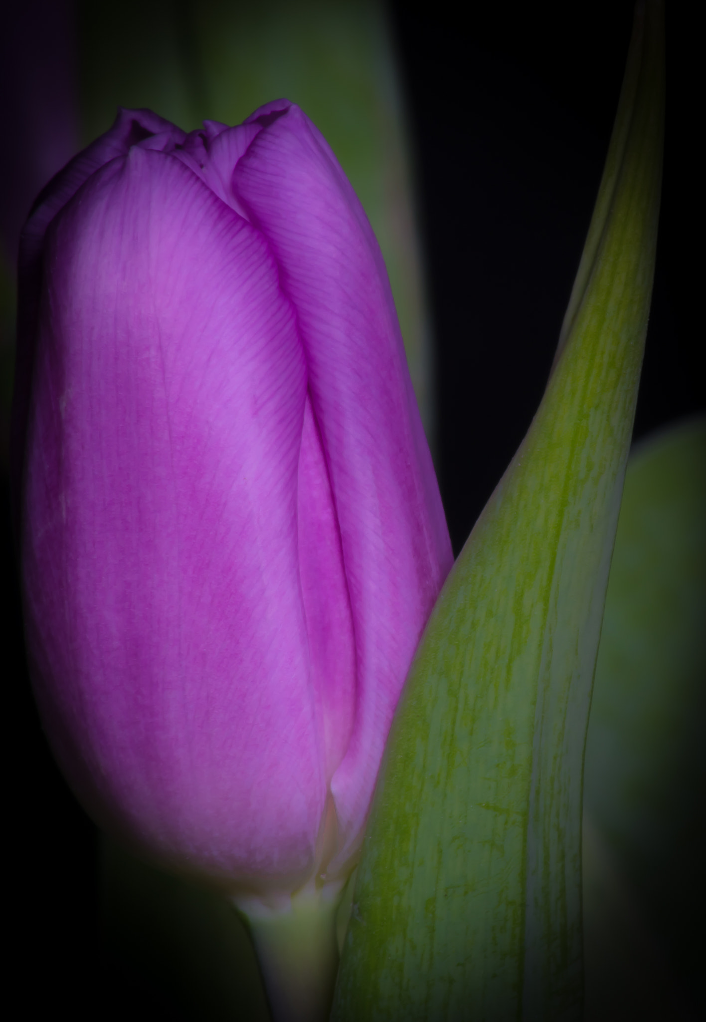 Sigma 70-300mm F4-5.6 APO DG Macro sample photo. You and me photography
