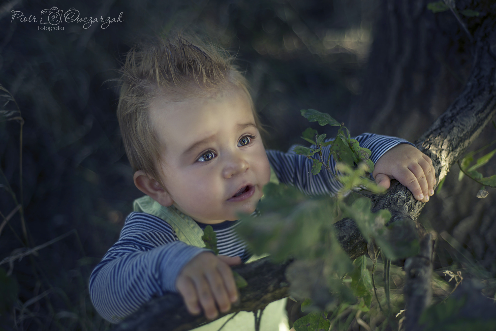Nikon AF Nikkor 50mm F1.8D sample photo. Light of  hope photography