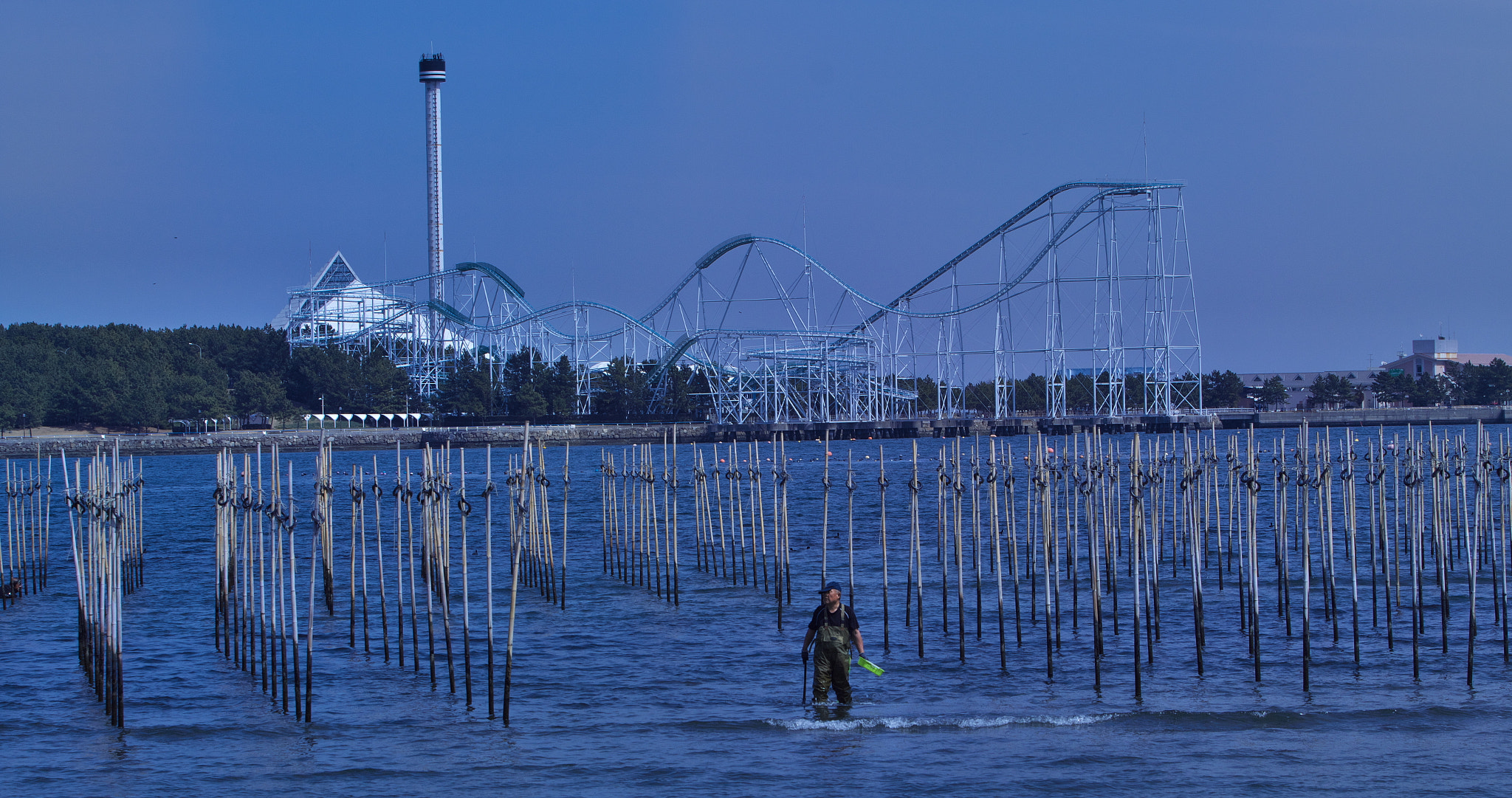 Canon EF 70-200mm F2.8L IS USM sample photo. Seaside walk photography