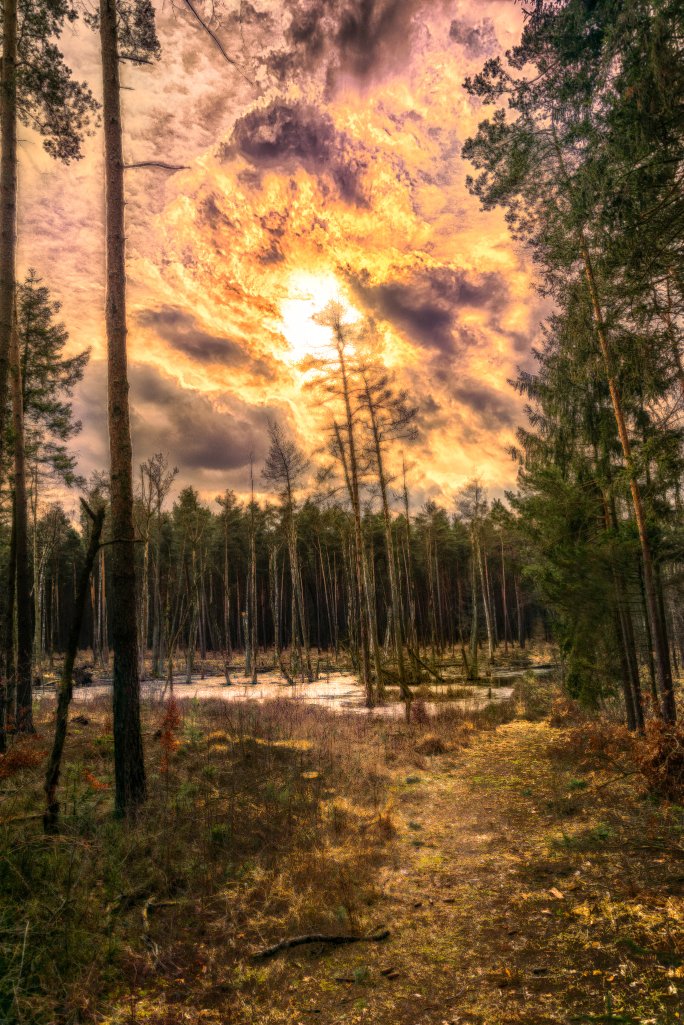 Tamron SP 24-70mm F2.8 Di VC USD sample photo. Burning skies photography