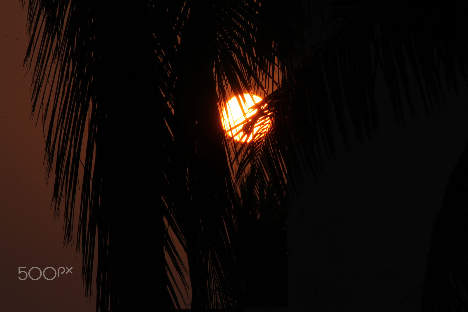 Canon EOS 1100D (EOS Rebel T3 / EOS Kiss X50) sample photo. Sunset photography
