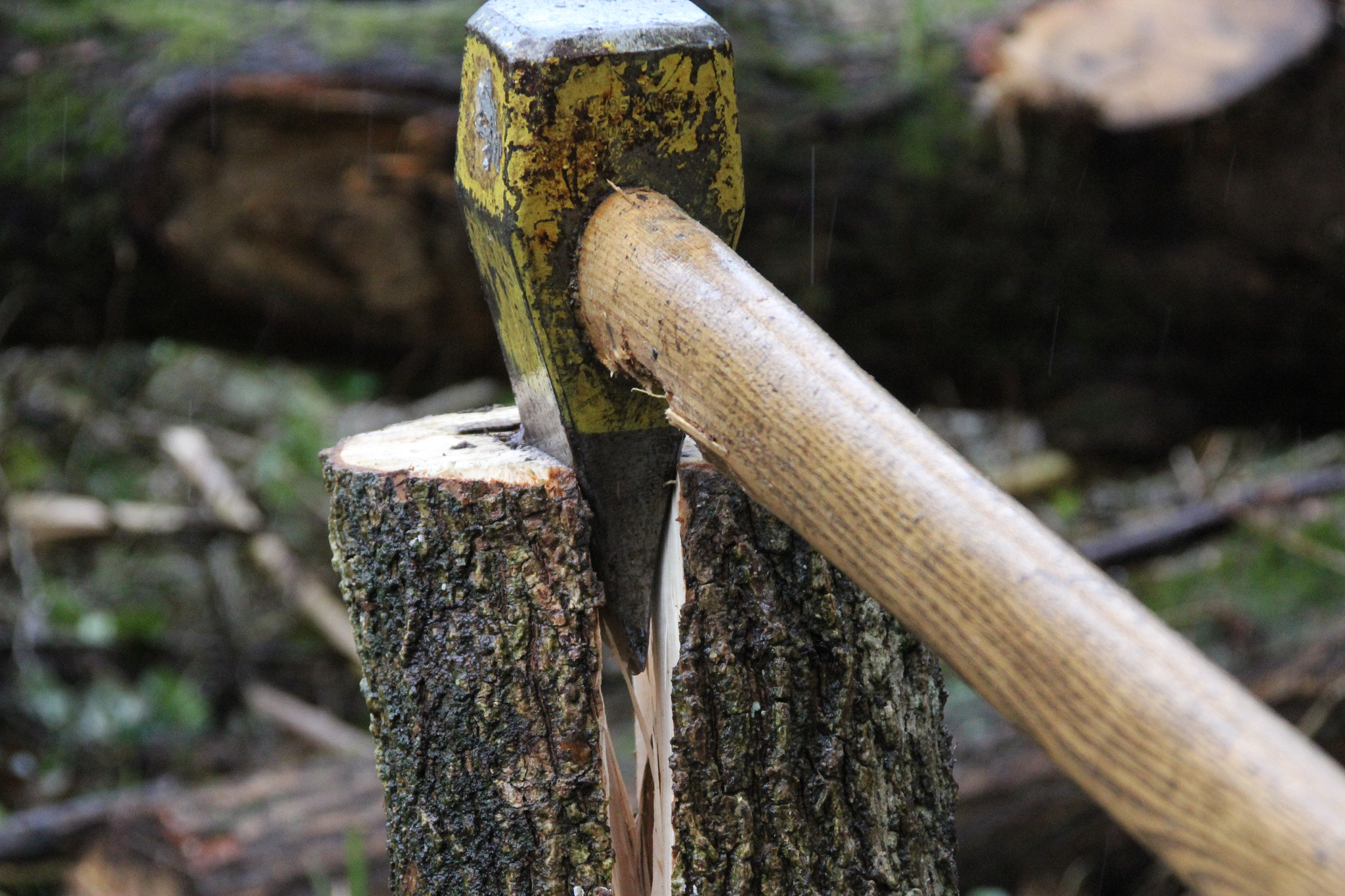 Canon EOS 60D + Canon TS-E 90mm F2.8 Tilt-Shift sample photo. Chopping wood photography