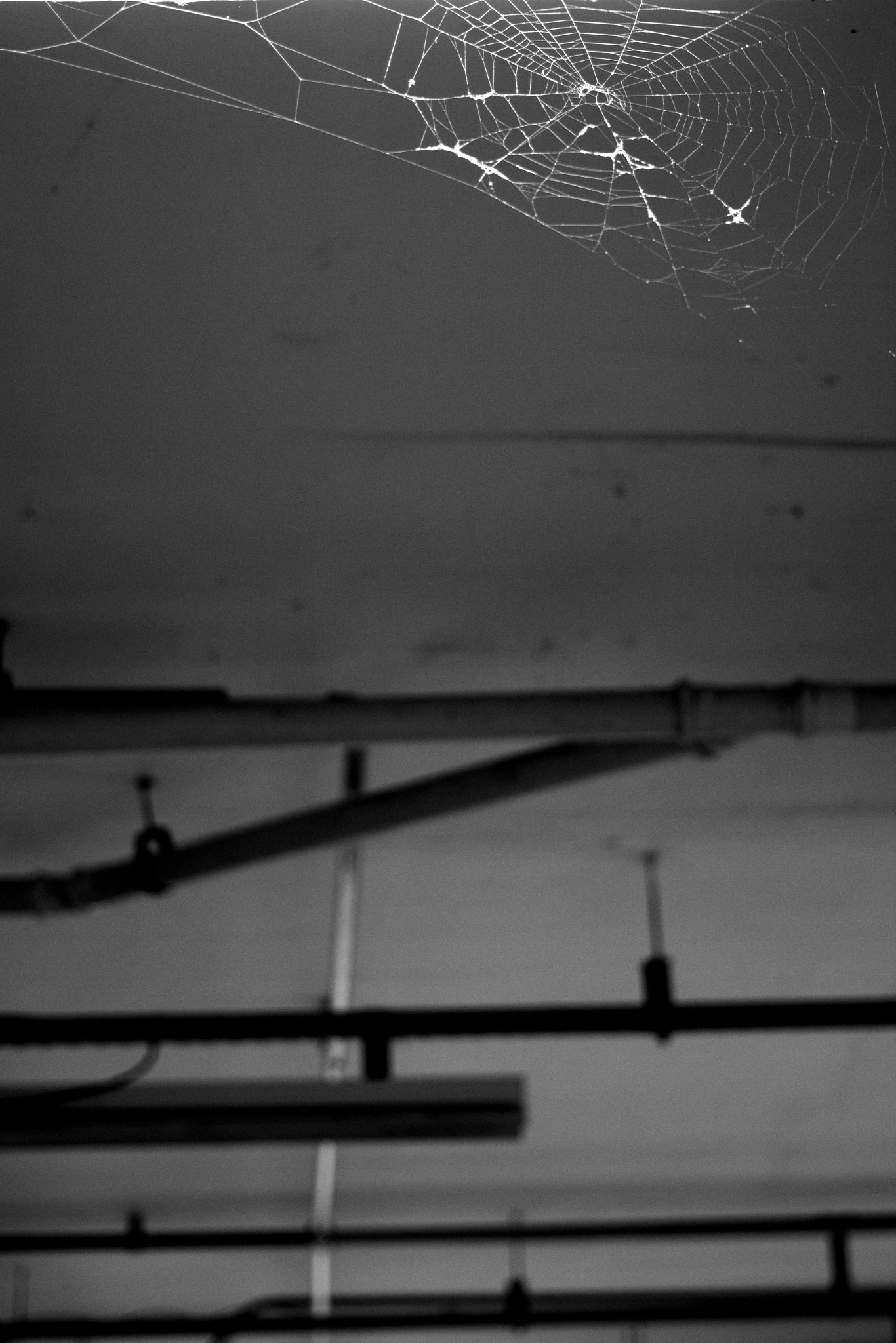 Canon EOS 100D (EOS Rebel SL1 / EOS Kiss X7) + Canon EF 40mm F2.8 STM sample photo. Spider's trap photography