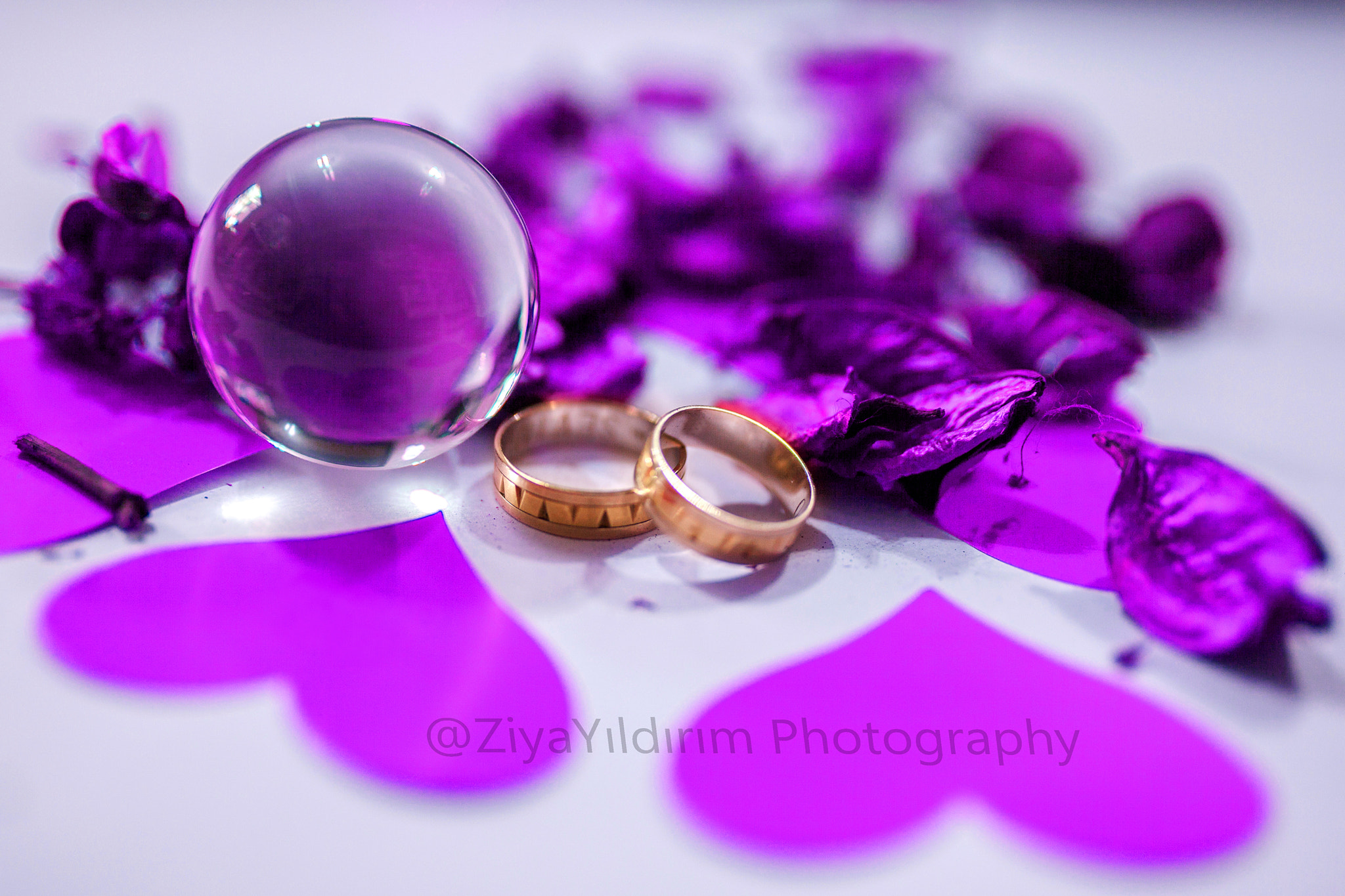 Sigma 35mm F1.4 DG HSM Art sample photo. Ribg photography