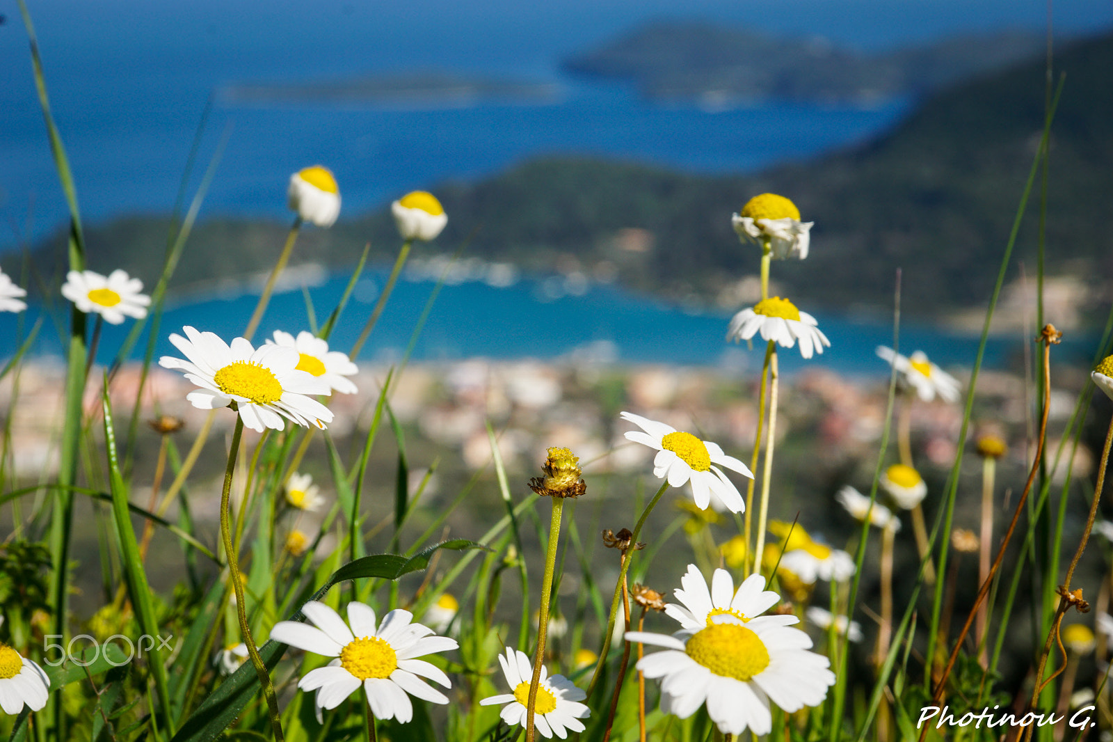 Sony ILCA-77M2 sample photo. Overlooking the islands from high up photography