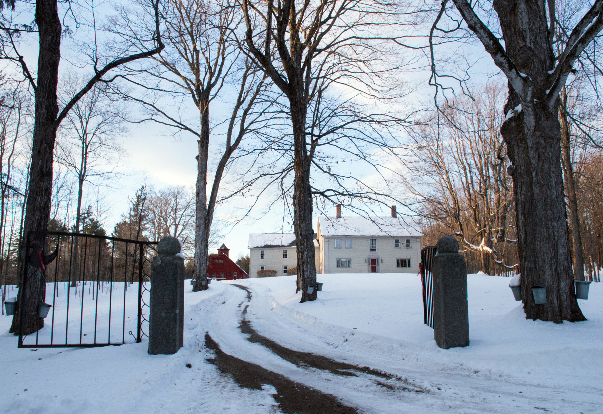 Nikon D3200 sample photo. Sugar maple estate photography