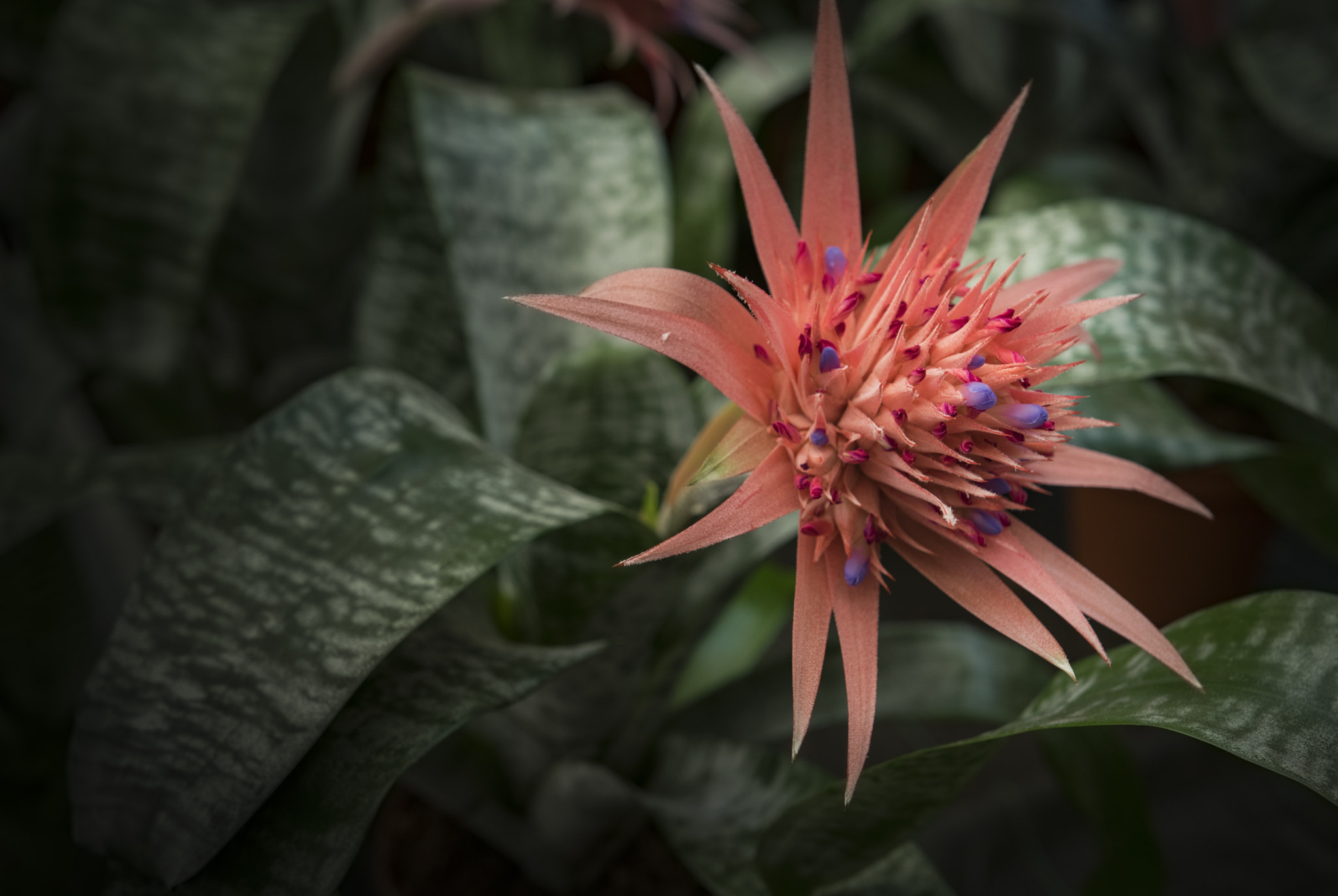 Sigma 18-35mm F1.8 DC HSM Art sample photo. Name? photography