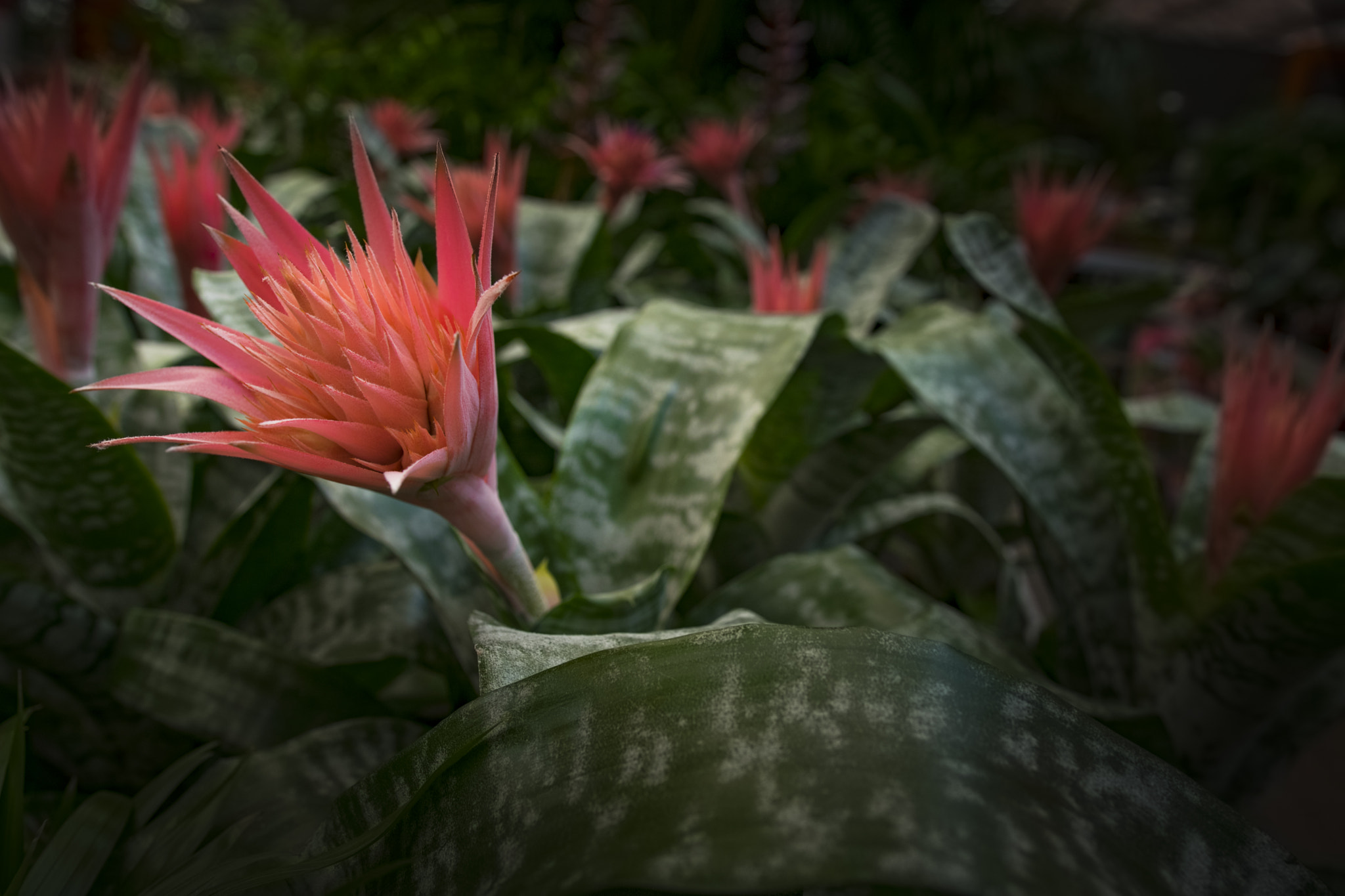 Sigma 18-35mm F1.8 DC HSM Art sample photo. Name? photography