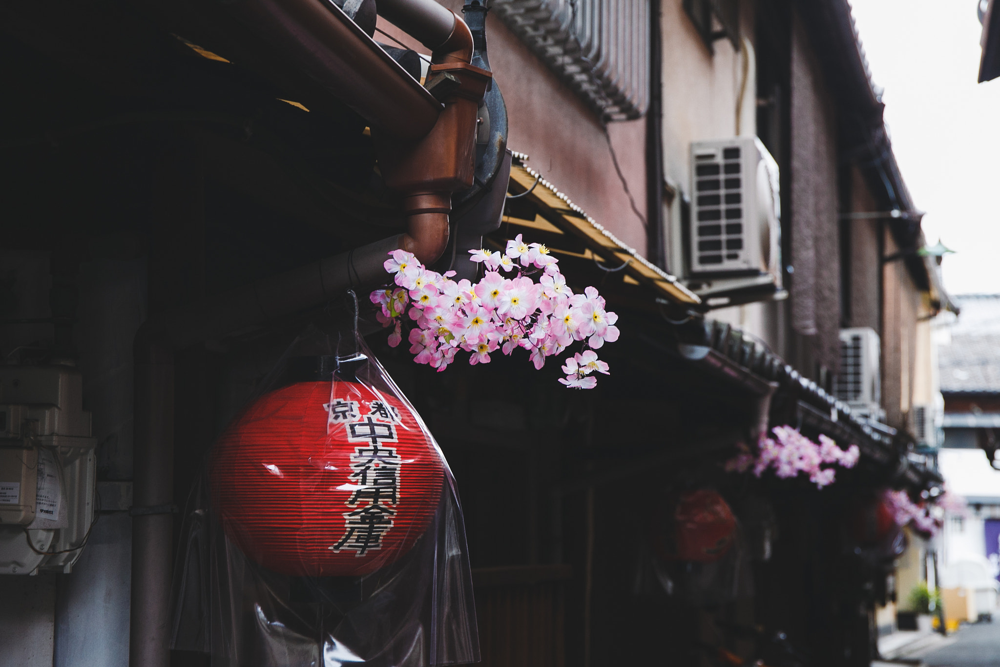 Canon EF 24-70mm F4L IS USM sample photo. Kyoto photography