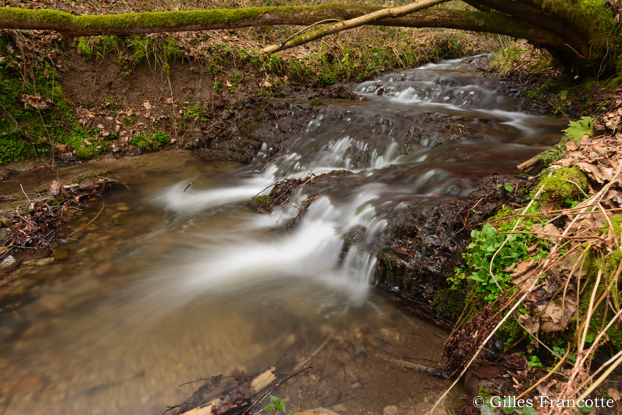 Nikon AF-S Nikkor 20mm F1.8G ED sample photo. Little creek photography