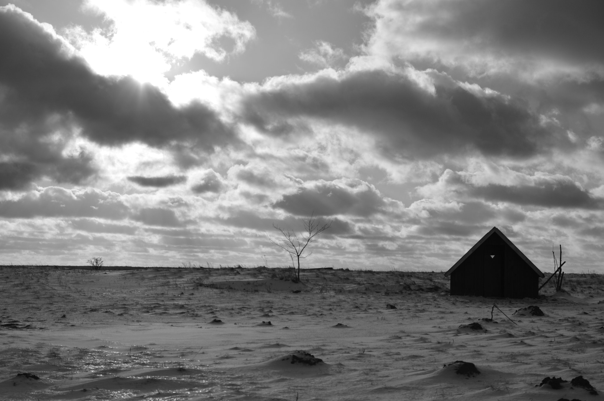 Nikon D3200 sample photo. Black and white photography