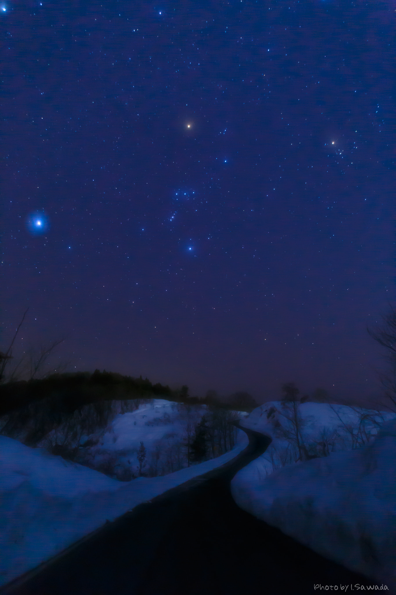 Sigma 20mm F1.4 DG HSM Art sample photo. Orion in the march. photography