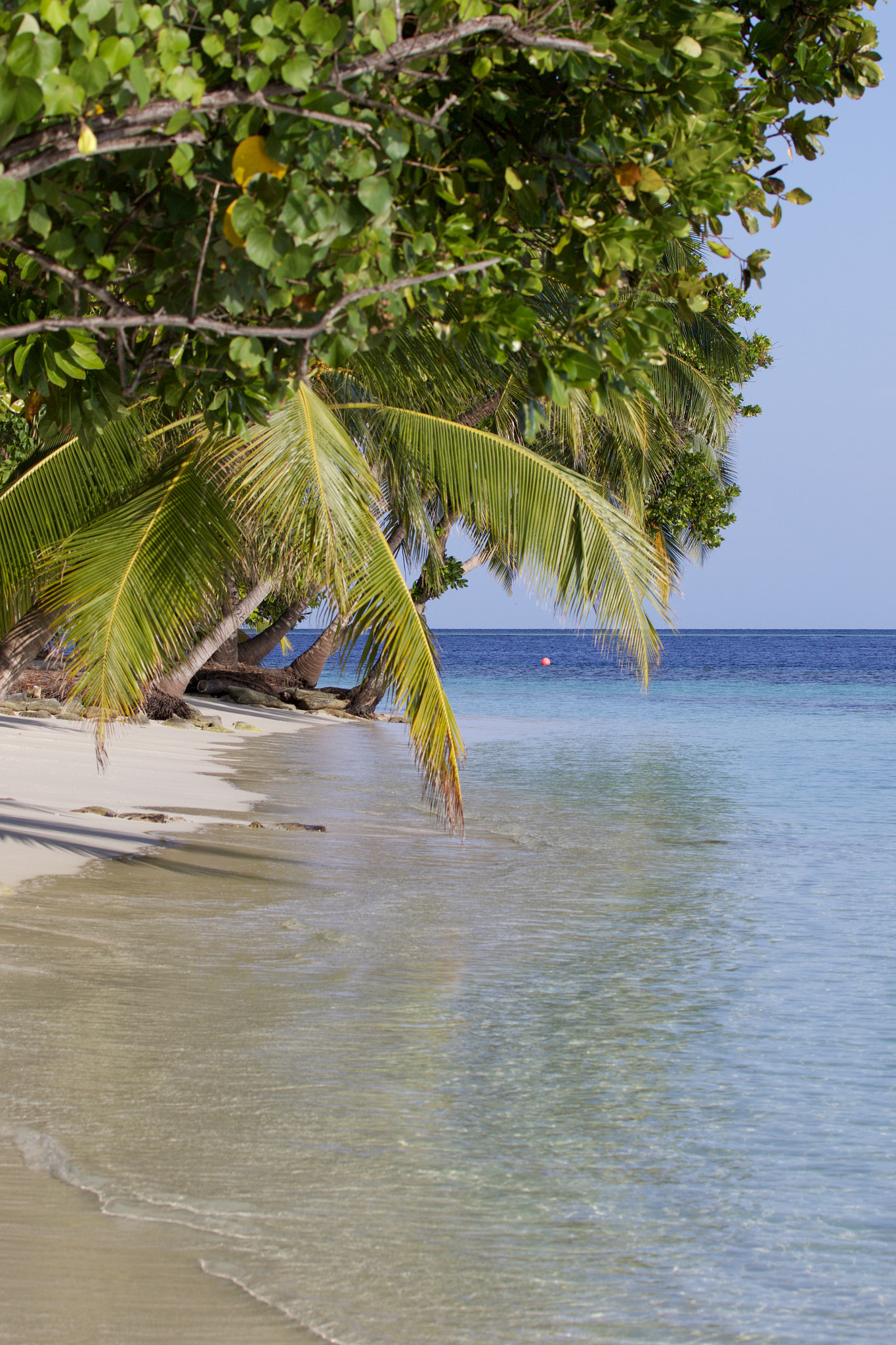 Canon EF 70-300mm F4-5.6L IS USM sample photo. Maldives vilamendhoo () photography