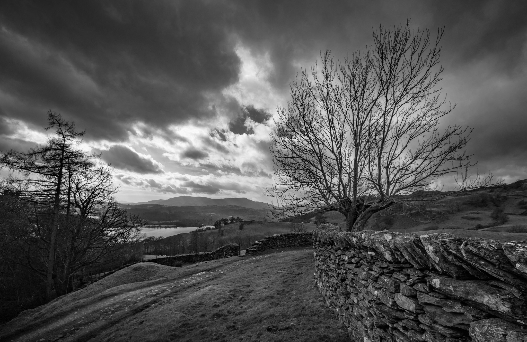 Canon EF-S 10-22mm F3.5-4.5 USM sample photo. Tree on the wall over the lake photography