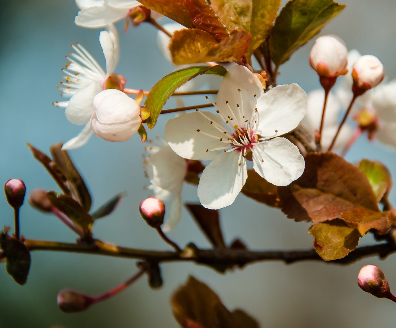 Sigma 18-200mm F3.5-6.3 DC OS HSM sample photo