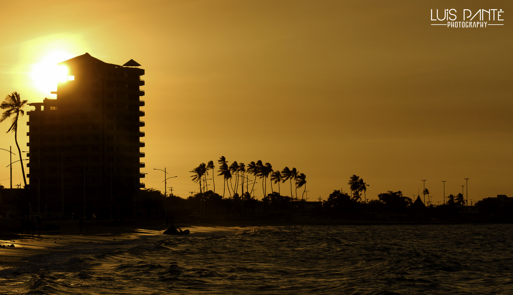 Canon EF-S 55-250mm F4-5.6 IS sample photo. Dreams photography