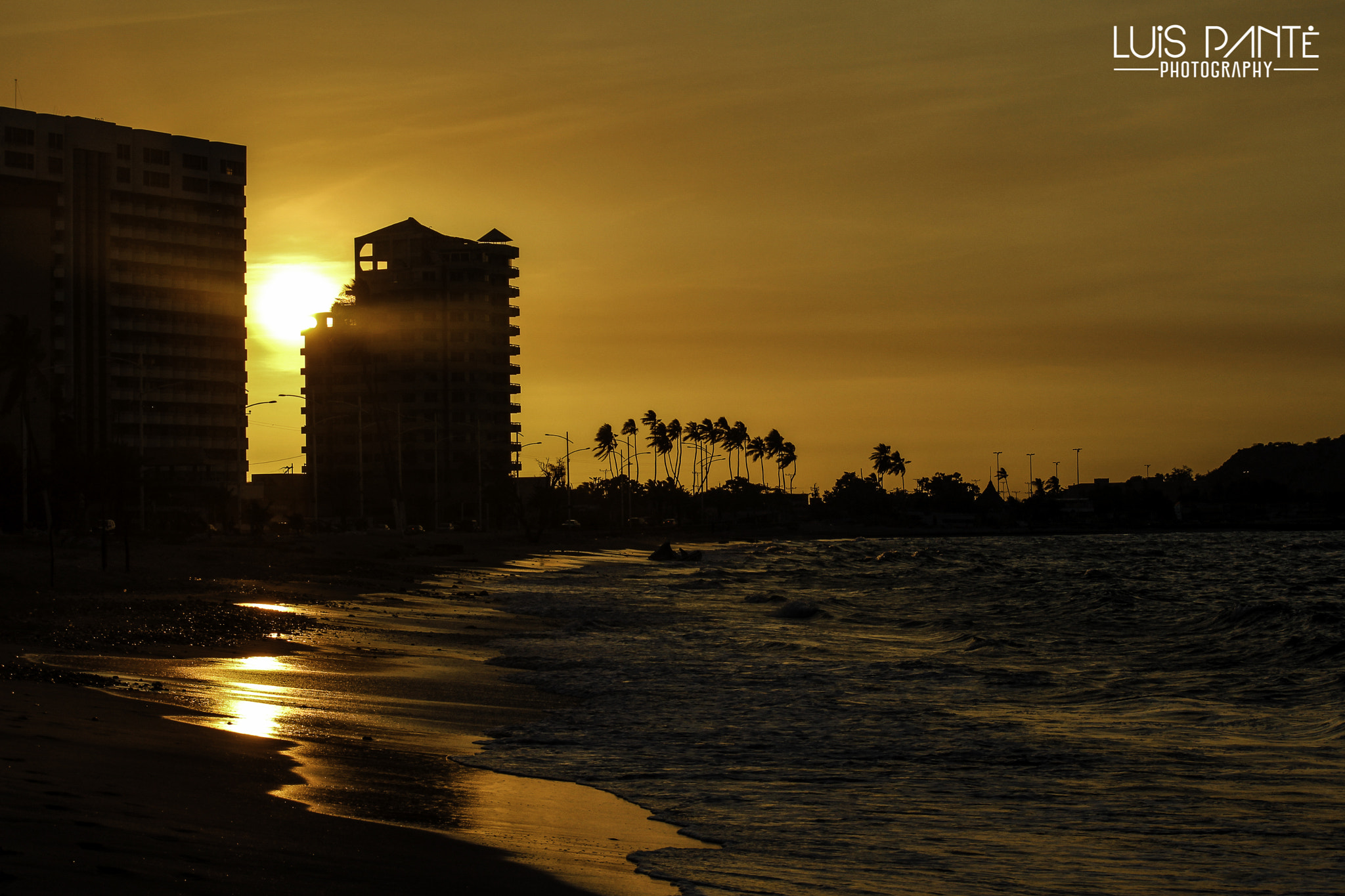 Canon EF-S 55-250mm F4-5.6 IS sample photo. My road gold place photography