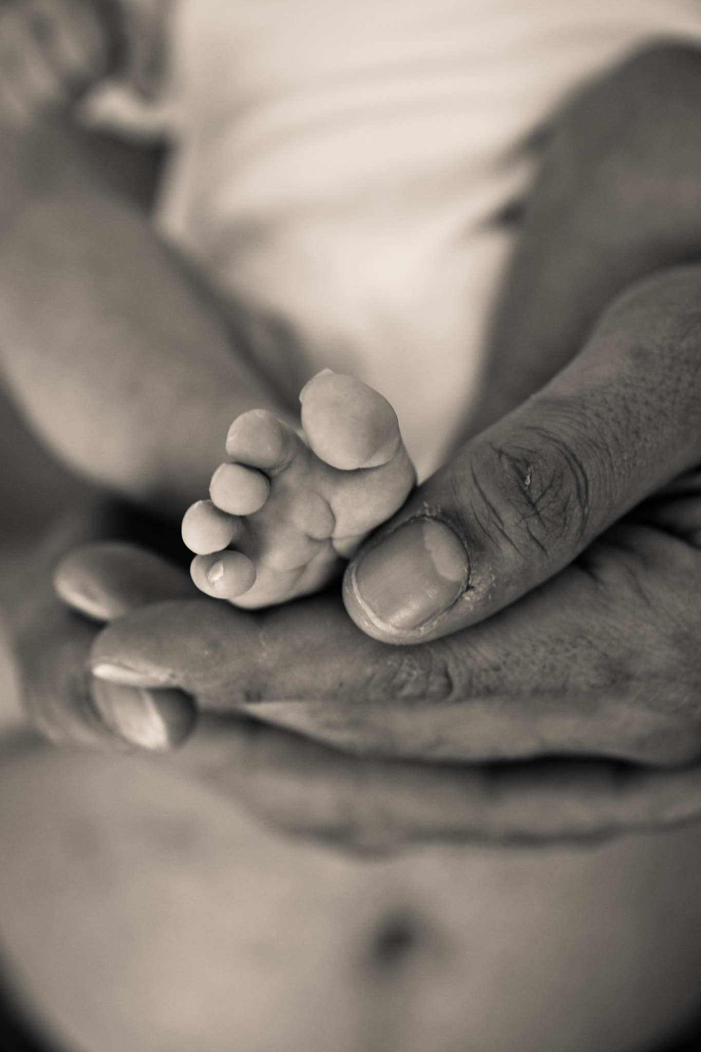 Sony Alpha DSLR-A900 sample photo. New born photoshooting photography